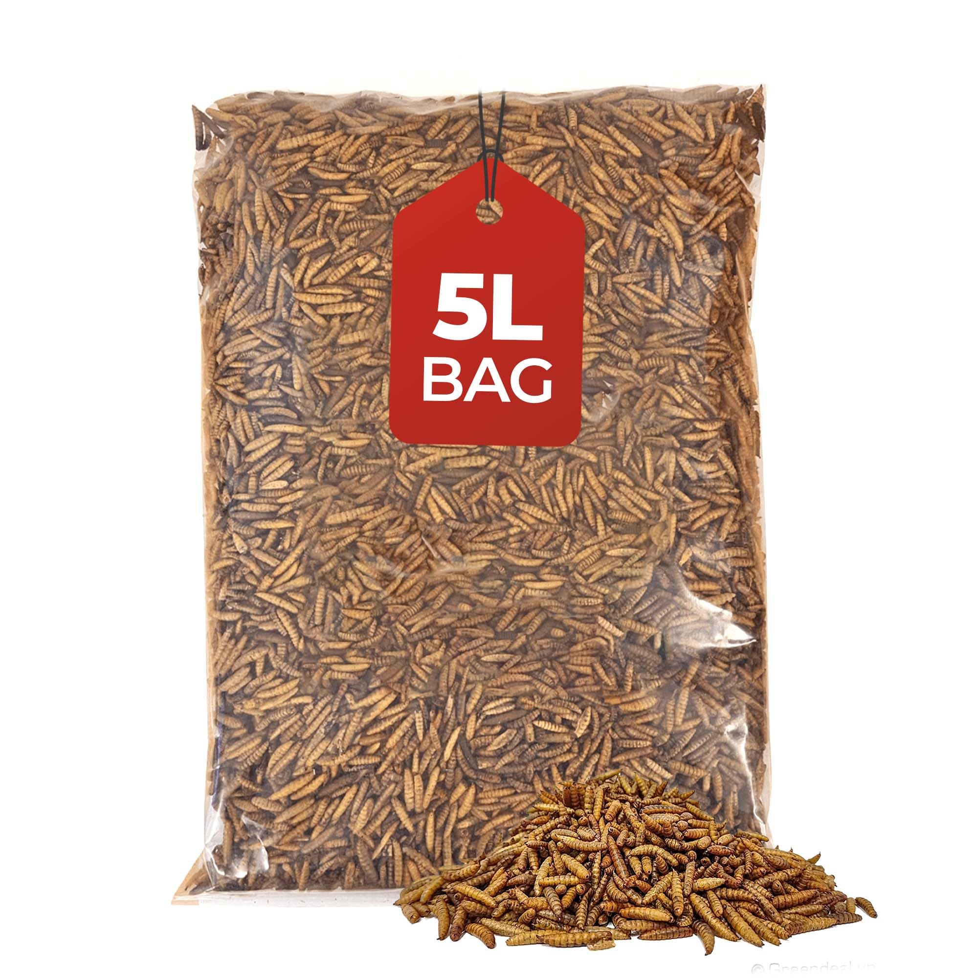 Beewarm 5L Bag, Sunflower Hearts, Bird Seed, Bird Food, Sunflower Seeds, Sunflower Hearts Bird Food, Wild Bird Food, Bird Feed, Bird Seeds for Small Garden Birds, Sunflower Seeds Birds, Birdseed — view 11