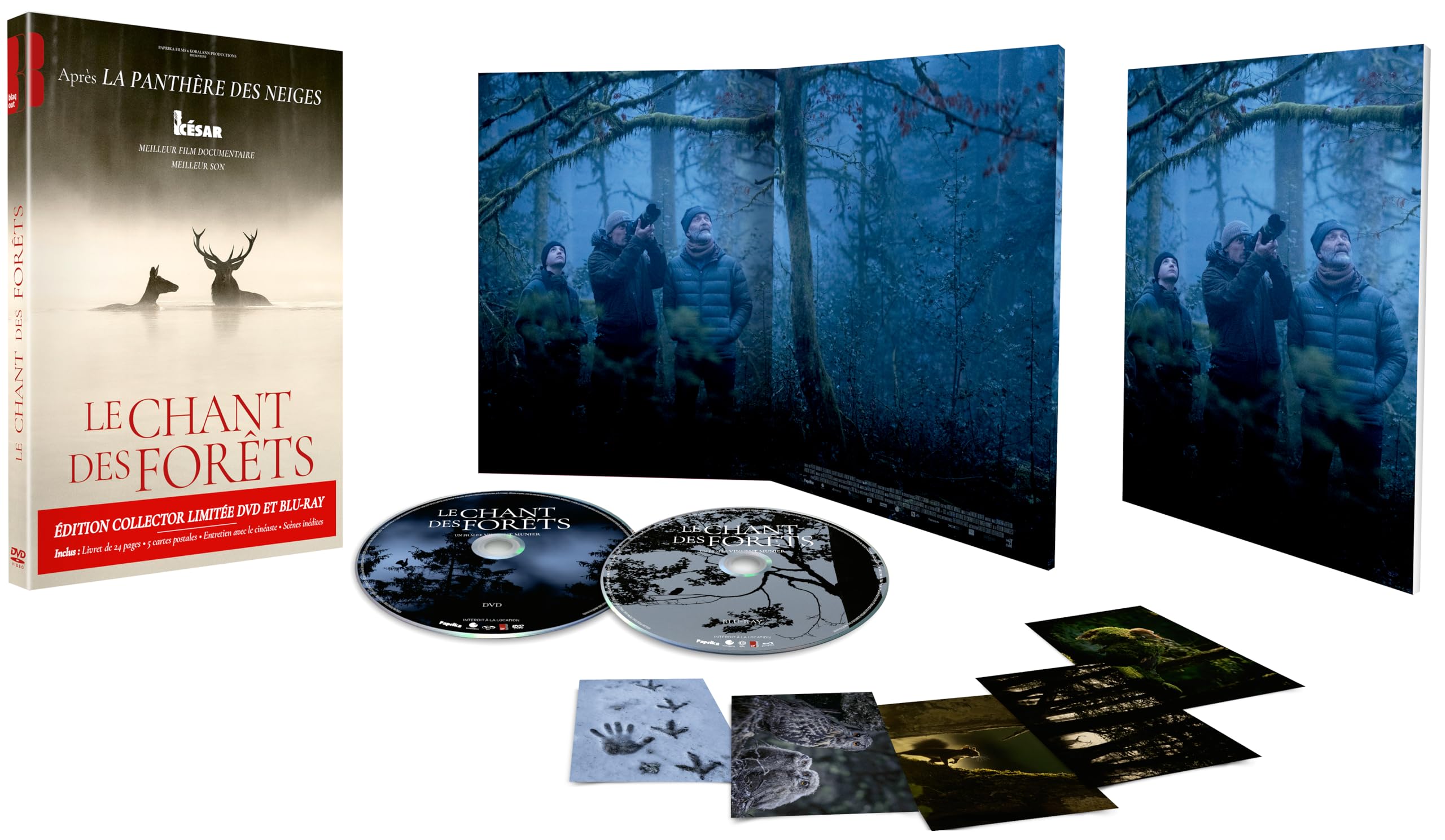 Le chant des forêts - Combo dvd + Blu-ray