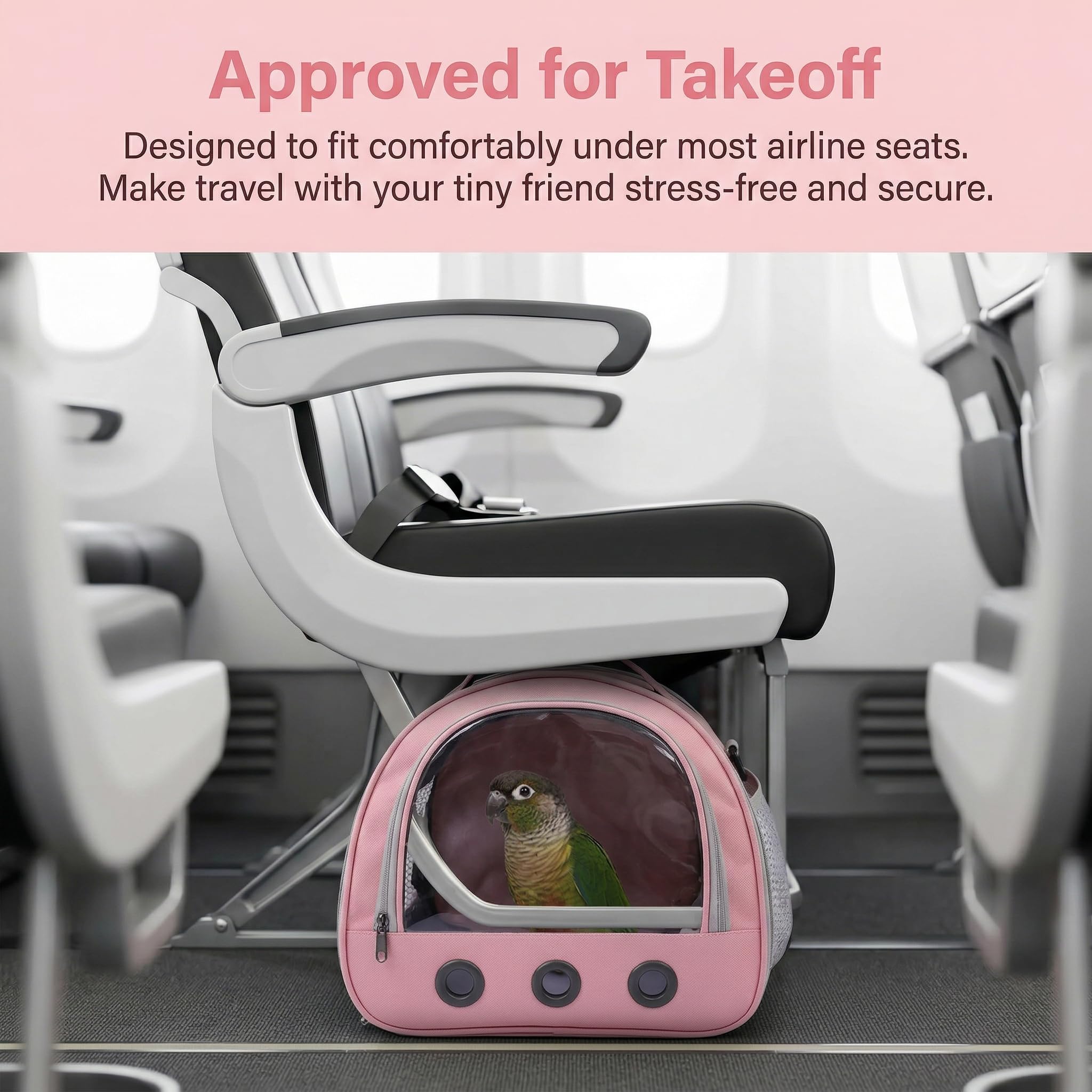Transportador transparente para mascotas, jaula de viaje transparente portátil, contenedor de transporte, jaula de viaje para pájaros, ratas, hámsters y otros animales pequeños