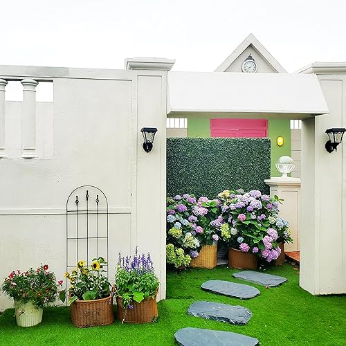 Miniatura 9 de Enrejado de 48 pulgadas de alto x 16 pulgadas de ancho, enrejado de metal negro resistente para plantas trepadoras al aire libre, estructuras de