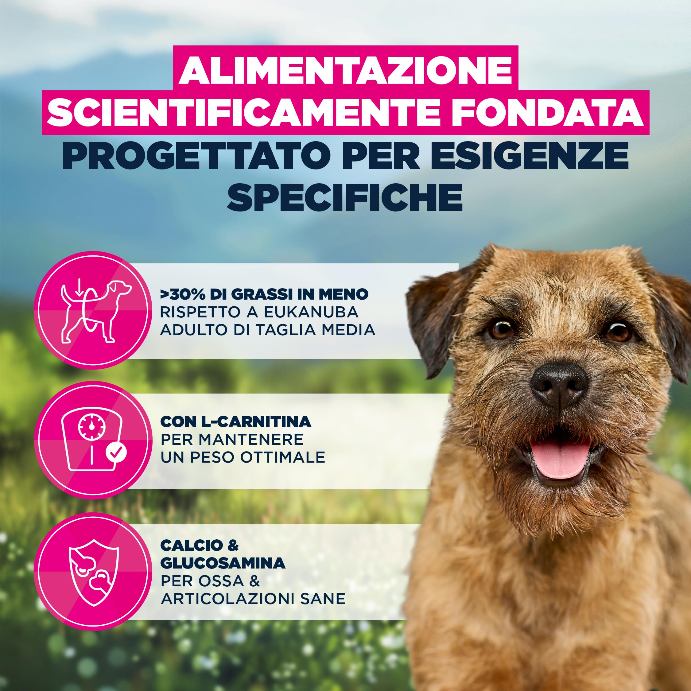 Eukanuba Weight Control crocchette con pollo per cani di taglia piccola e media - Cibo speciale a basso contenuto di grassi per il mantenimento del peso o per la dieta in caso di sovrappeso, 15 kg