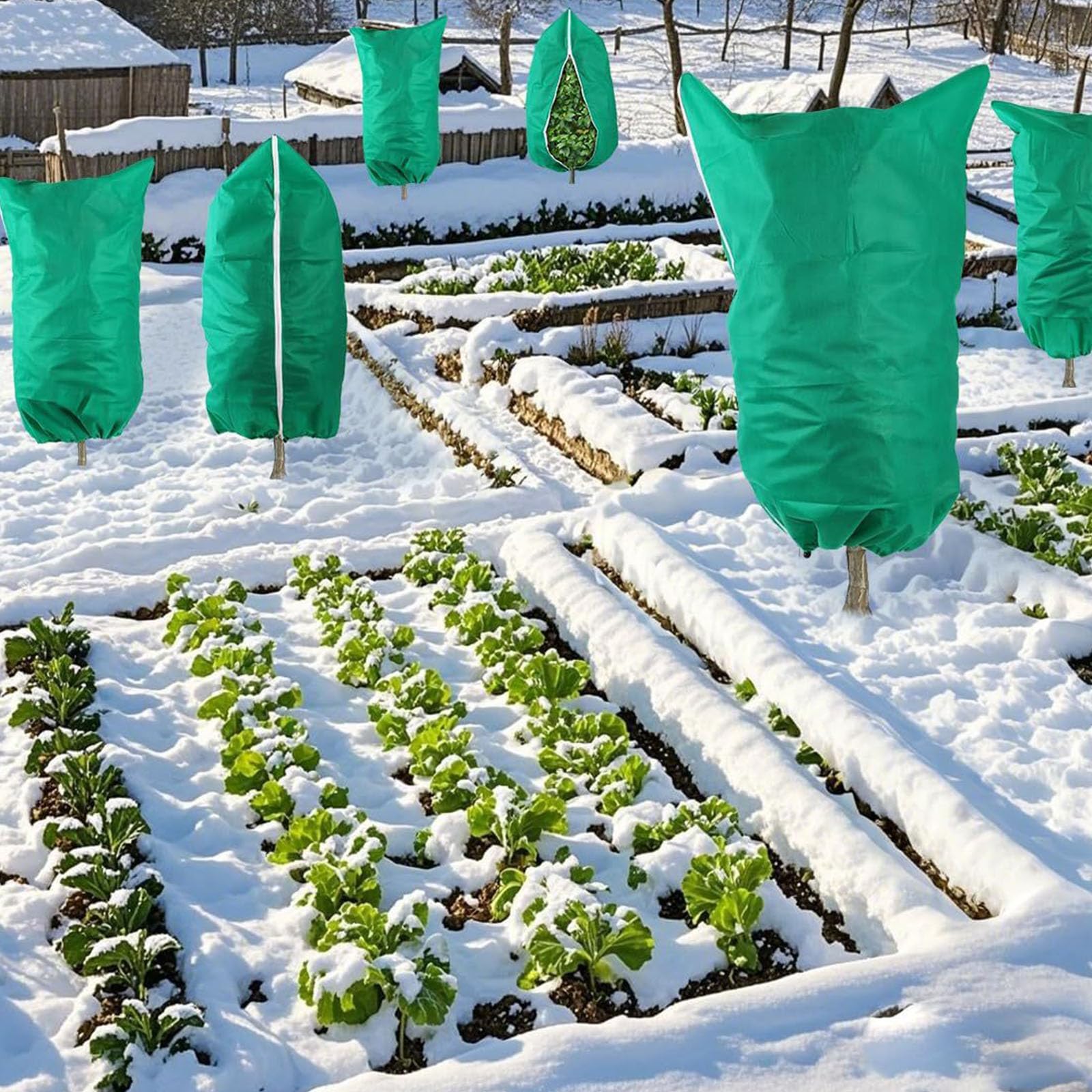 Lot de 4 housses isolantes pour plantes d'hiver respirantes et faciles