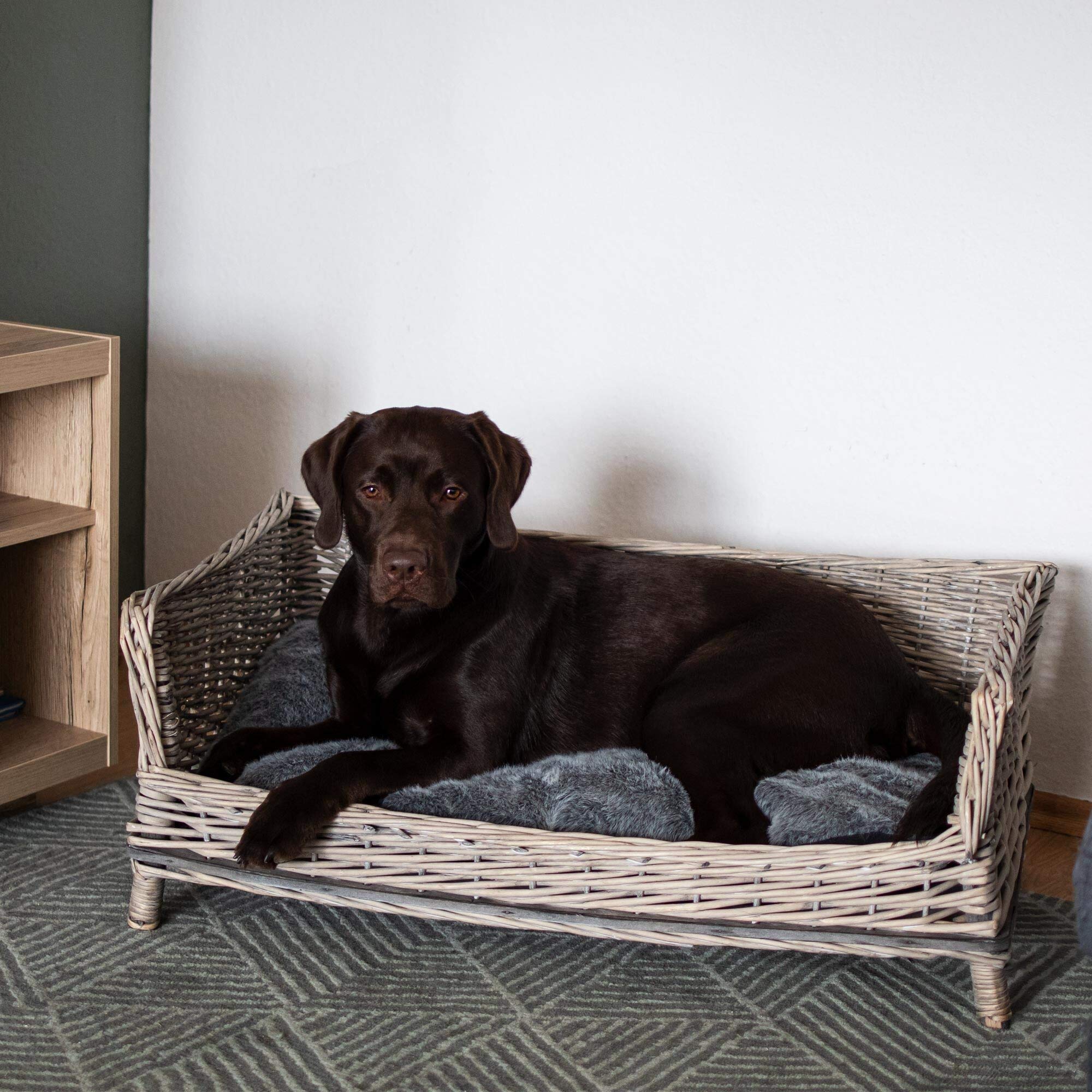 UNUS Panier pour Chien en Osier avec Coussin - Gris - Carré, pour Chiens Petits et Grands 88 cm de Largeur