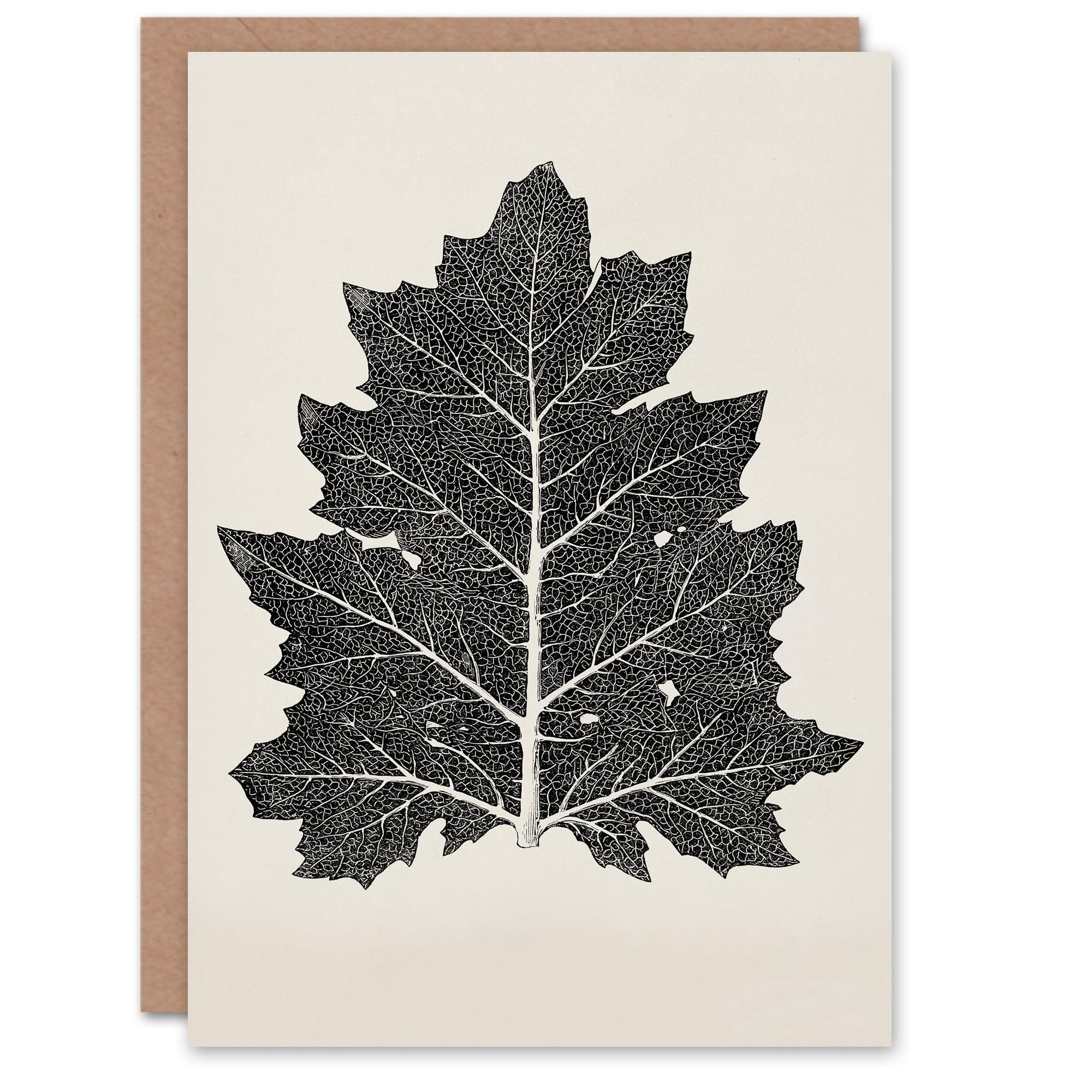 Artery8 Owen Jones Art Card Vintage Black and White Leaf Drawing