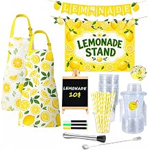 Lemonade Stand Kit with 2 Kids Aprons