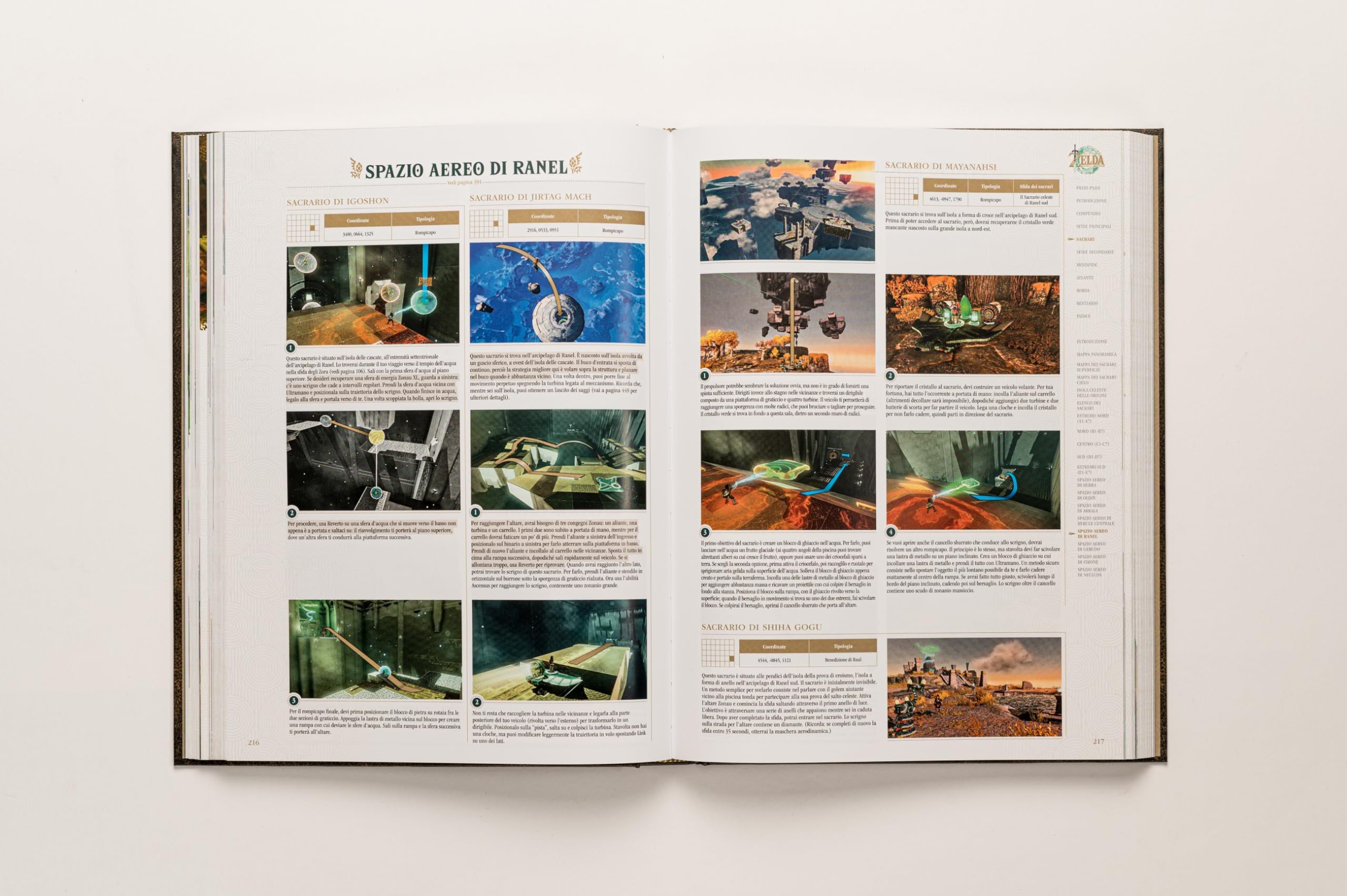 THE LEGEND OF ZELDA ™ : TEARS OF THE KINGDOM -LA GUIDA UFFICIALE COMPLETA - EDIZIONE DA COLLEZIONE - IN ITALIANO (Italiano)
