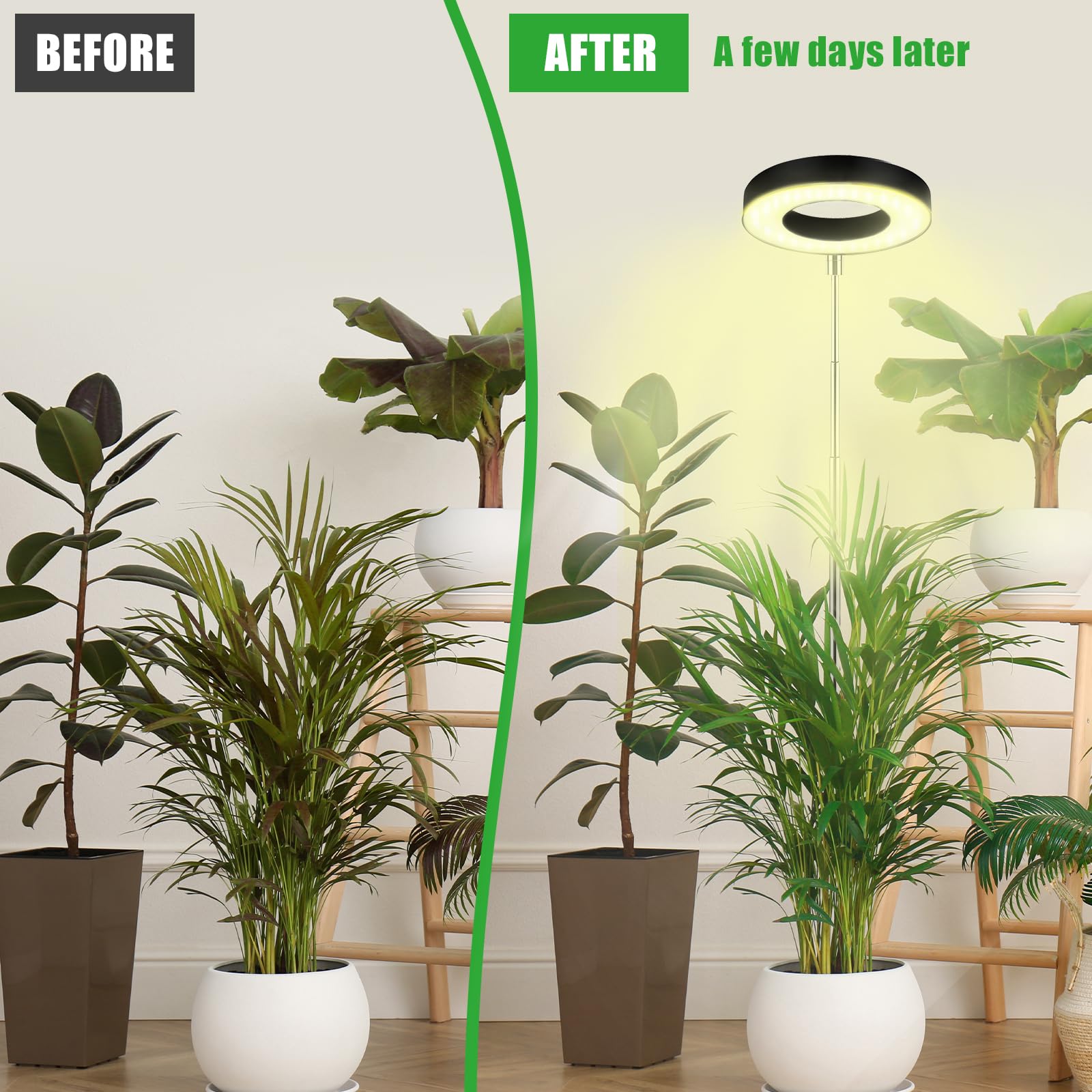 2 Lampes Croissance Plantes LED - Spectre Complet 9 Luminosités + Minuterie 3/9/12h - Hauteur Réglable 17-62cm