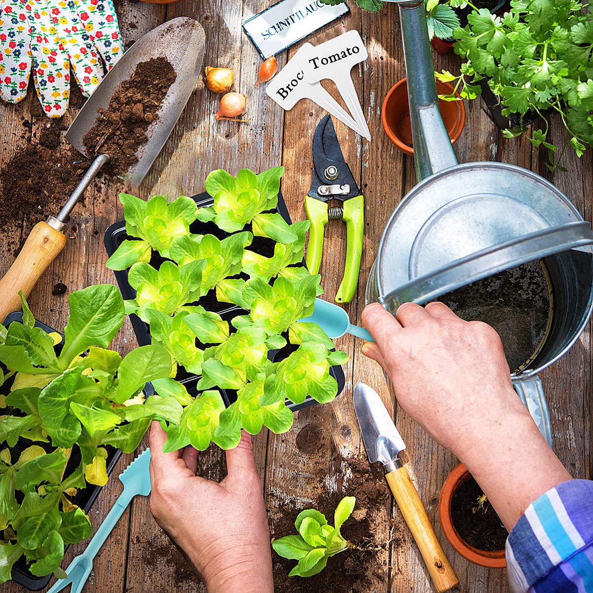 BESPORTBLE Vaschette Semenzaio 10 Confezione 12 Celle Plastico Bianco | Pervious To Light, Drain Holes e Proper Drainage, Gardening per Small Plants e Peppers