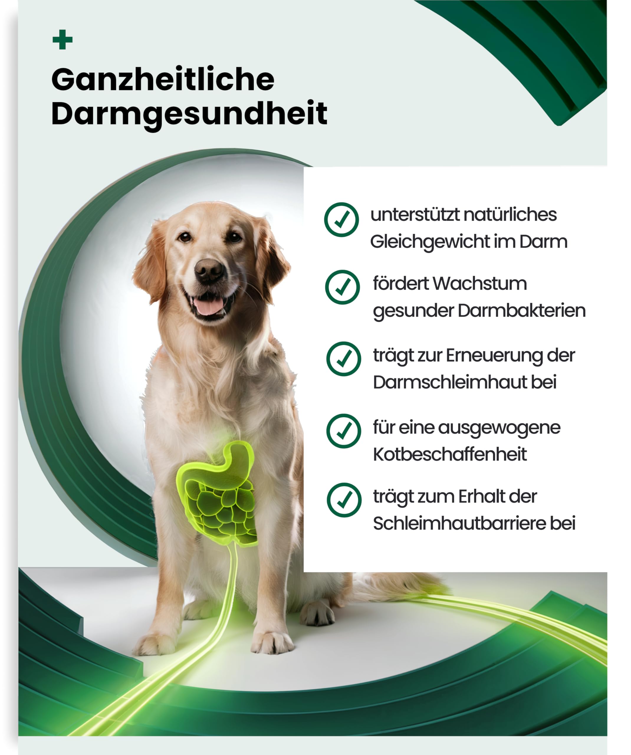 PAWSAN Darmwohl Bio Darmkur Hund – Alternative zu Probiotika – Gras und Kotfresser Drops – Sodbrennen Hund, Durchfall, Blähungen – Darmflora Aufbauen mit Präbiotika – 100 Tabletten Made in Germany