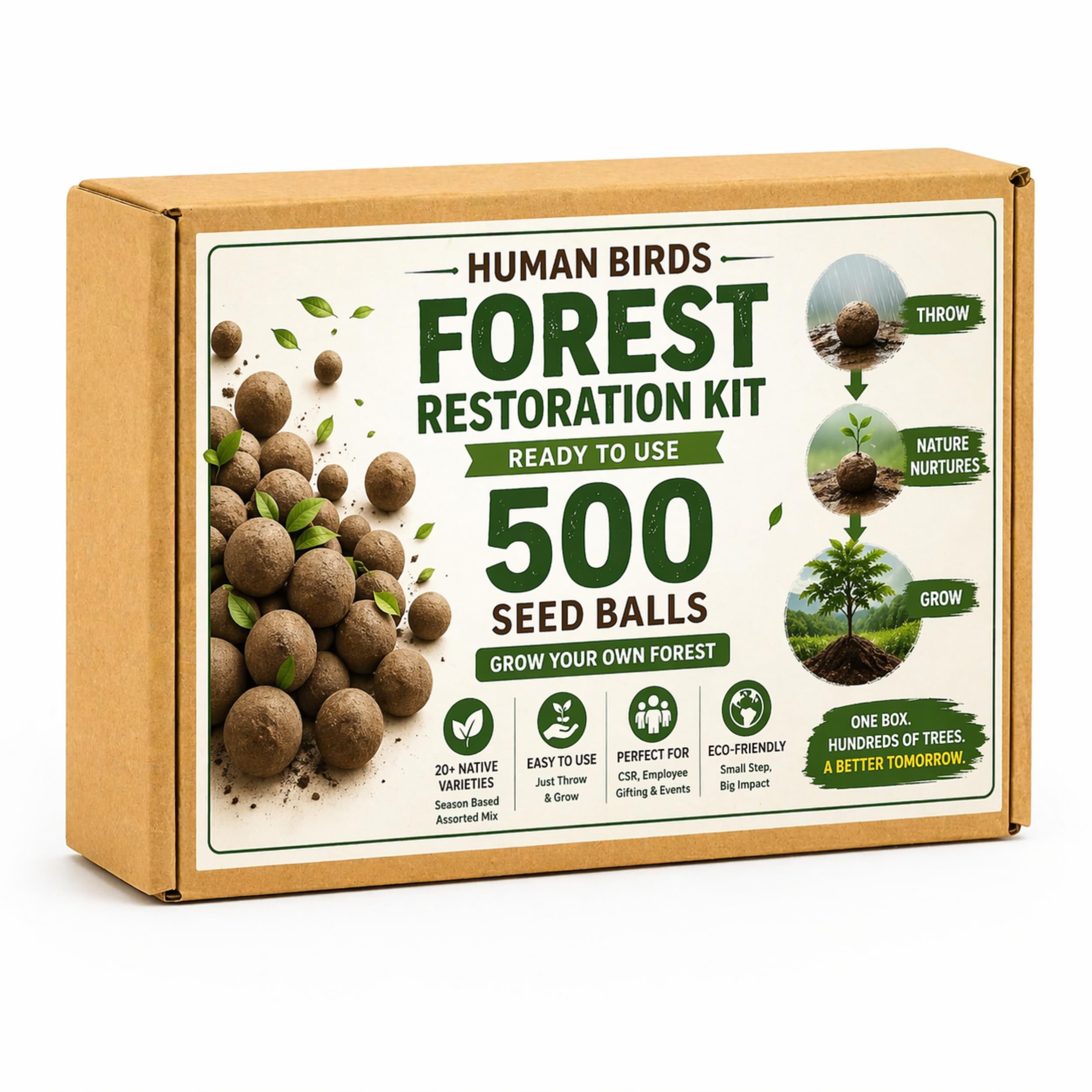 Ready-to-Use 500 Seed Balls Bulk Plantation Kit - Grow Your Own Forest | 20+ Native Varieties | CSR, Employee Gifting & Environment Day | Human Birds International®-image-38