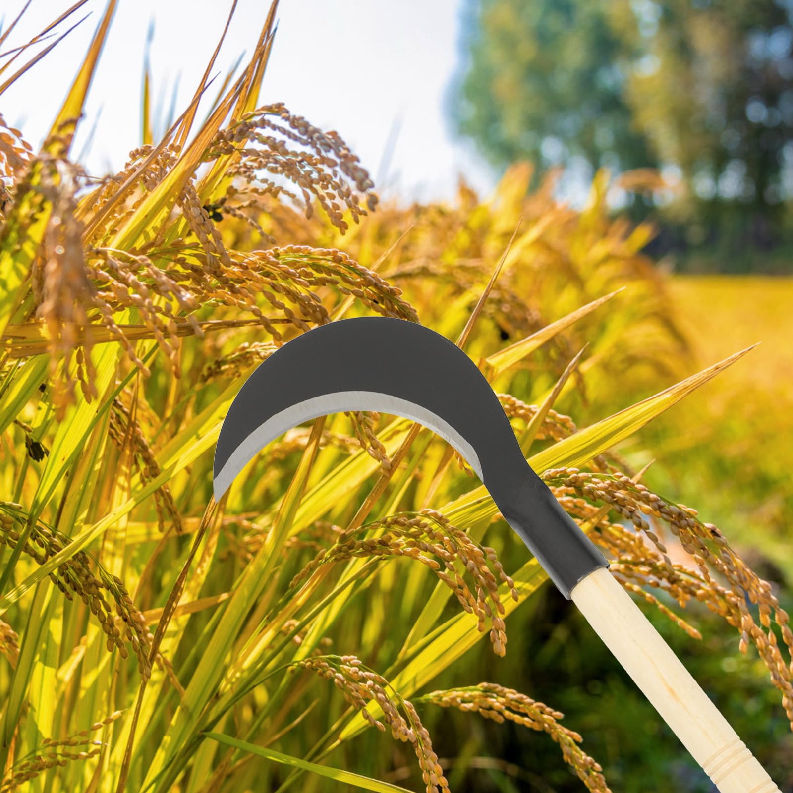 COLLBATH Guadaña de Mano Herramienta Duradera Mango Largo de Acero al Manganeso Varios estilos para Desmalezar y Cortar Hierba para Jardinería Jardín