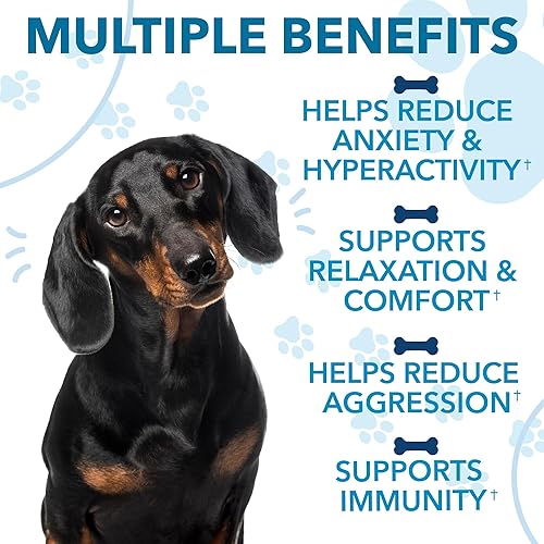 Miniatura 6 de Masticables calmantes de cáñamo para perros con ansiedad y estrés, masticables para aliviar la ansiedad para tormentas, fuegos artificiales,