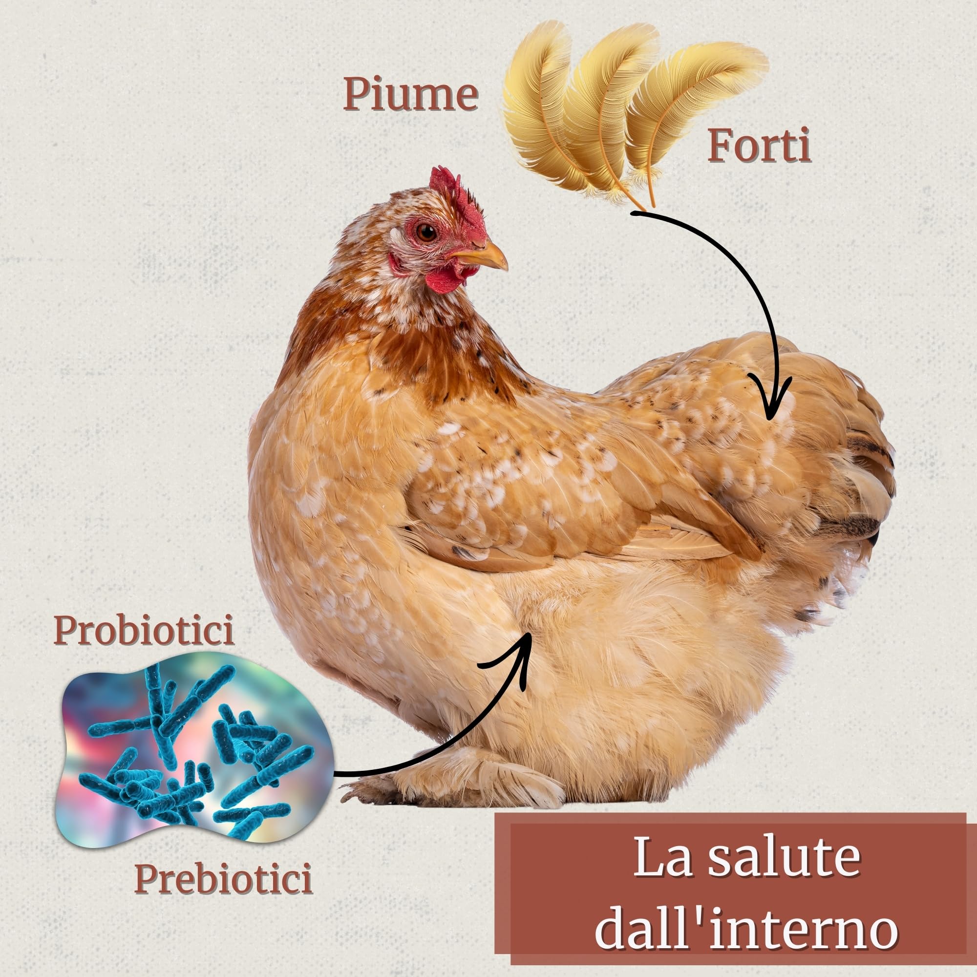 Proavicare - Lievito di Birra 1.5kg con Pro e Pre biotici - Migliora la Flora Intestinale - Vitamine B - Galline, Pollame e Uccelli Esotici - Ricco di Minerali e Aminoacidi