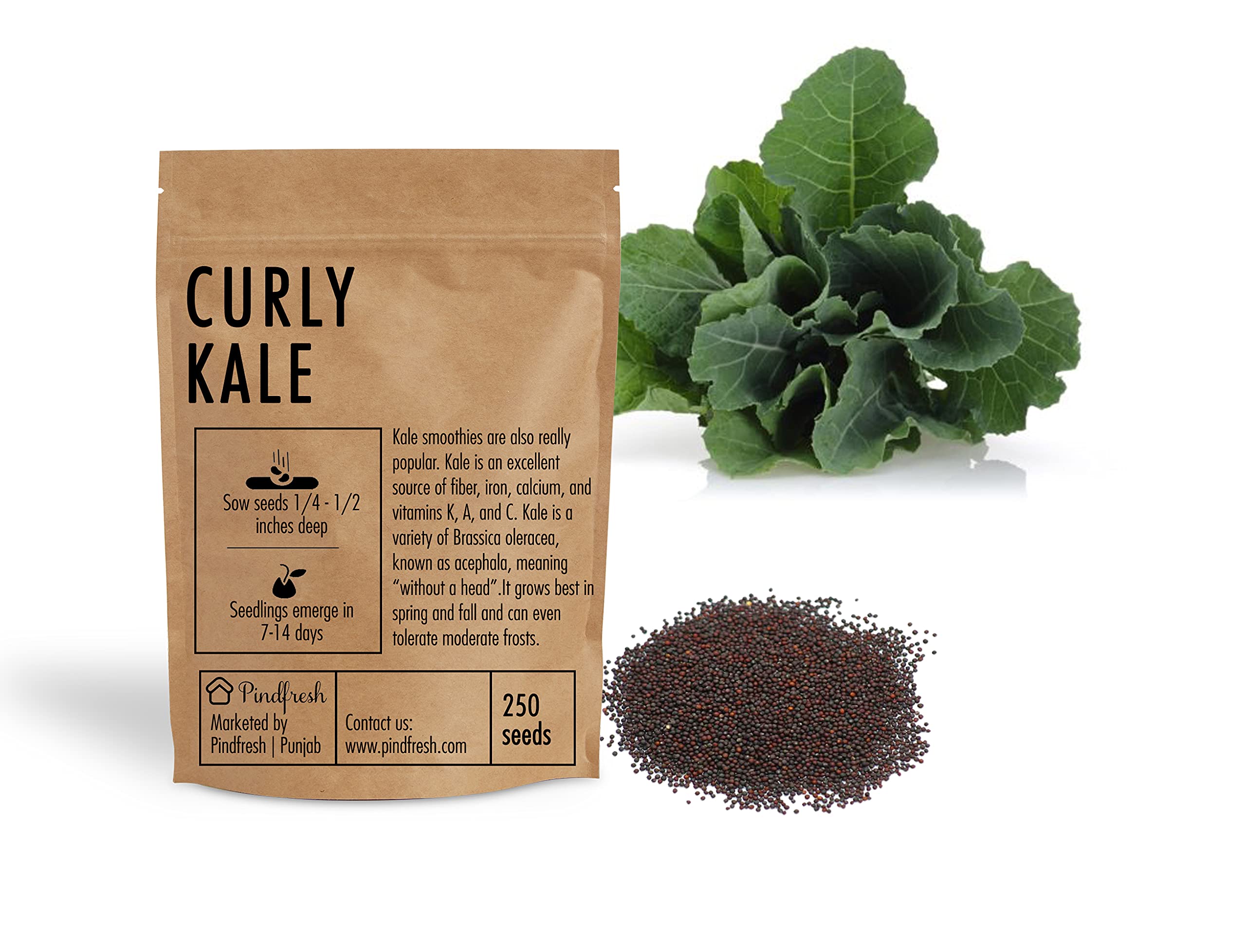 Pindfresh Seeds - CURLY KALE SEEDS, Qty 1 packet contain 250 seeds - Hydroponics, Cocopeat & Soil Gardening (B09DCXHCKG) Amazon Price History, Amazon Price Tracker
