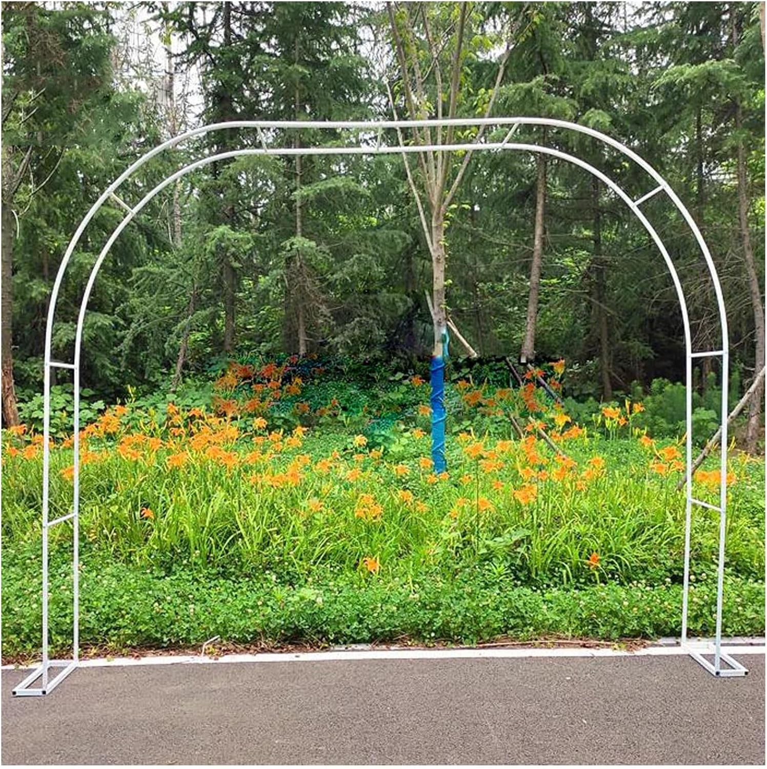 Extra Wide Metal Garden Arbor & Trellis Arch - 9.8 x 7.2FT Durable Steel Archway for Yard Entrance, Flower Tunnel, and Cemetery Arch Decoration
