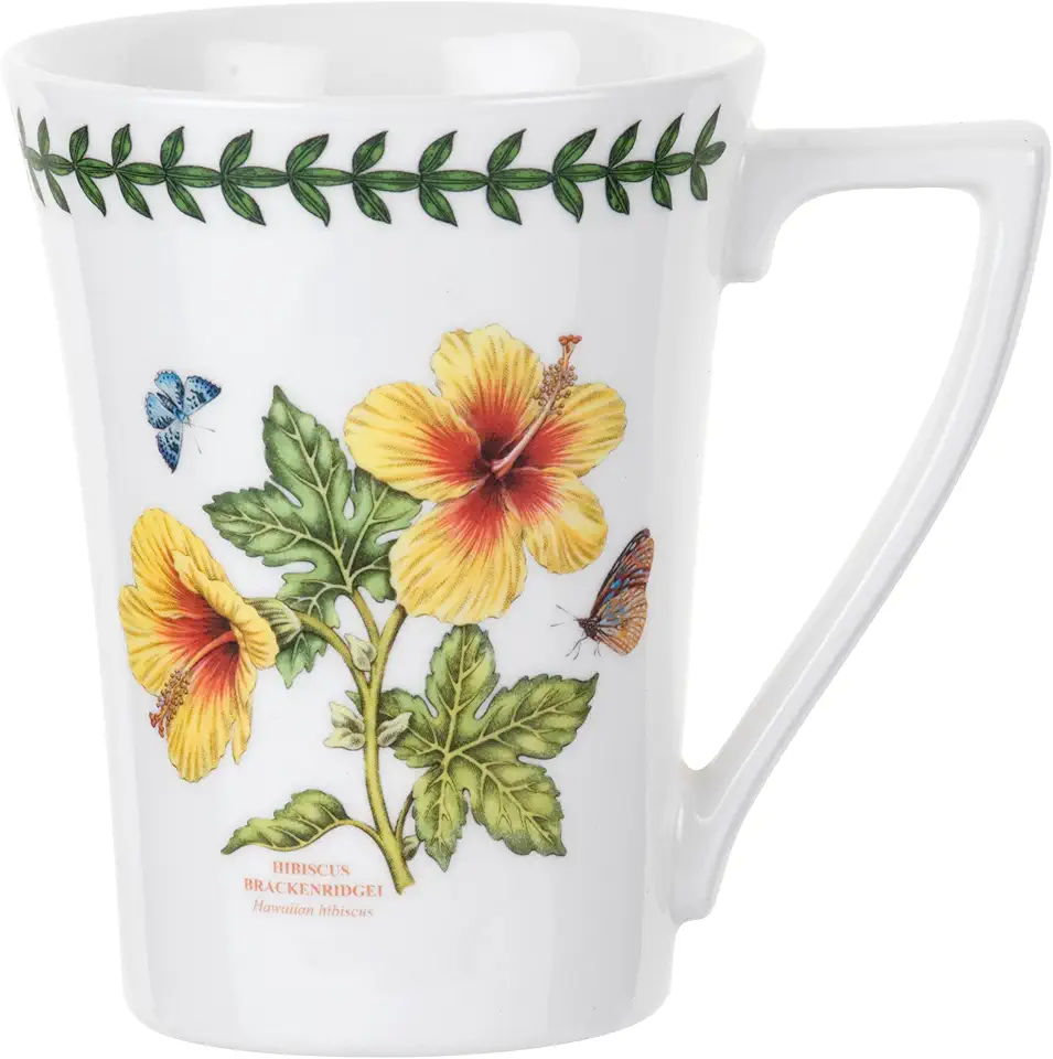 Portmeirion Exotic Botanic Garden 12oz Mandarin Mug |...