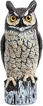 Dalen Large Fake Owl Decoy to Scare Birds Away - Garden Scarecrow Provides Natural Pest Control - 16