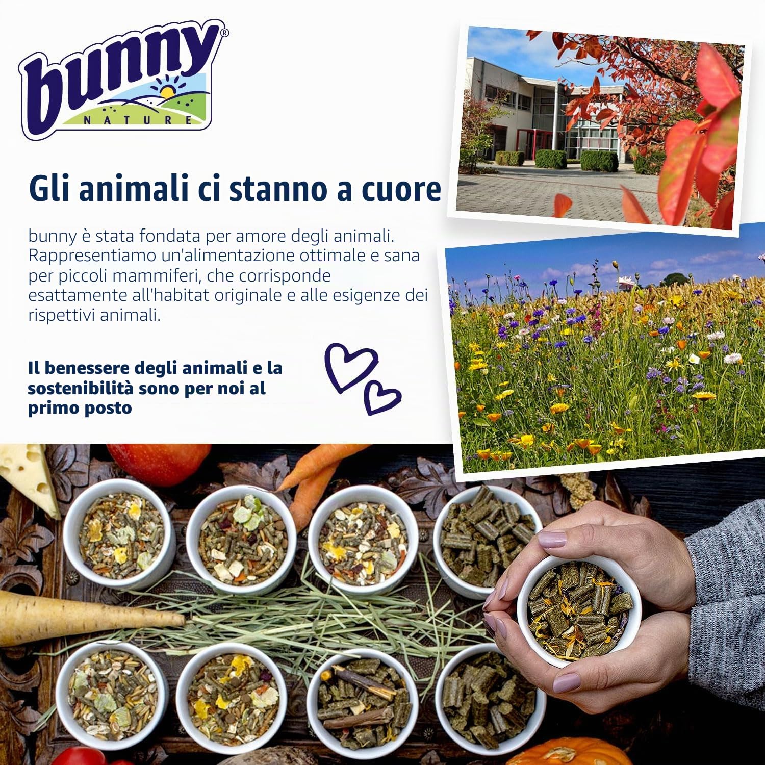bunny Nature RennmausTraum Expert – Mangime completo per gerbilli – Mix di mangime per roditori con vitamine, ingredienti potenti e vermi – 500 g