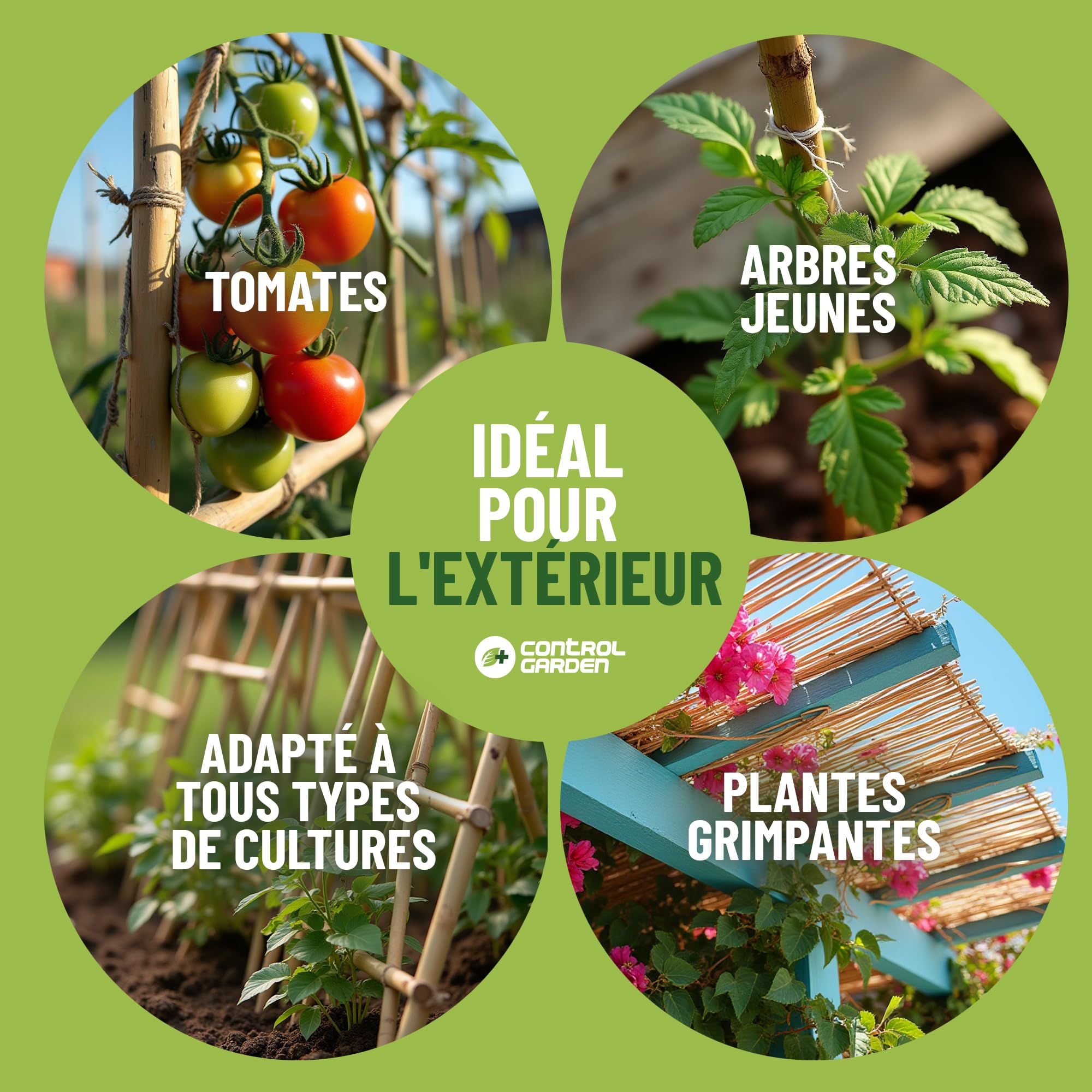 Control Garden Lot 30 Unités Tuteurs en Bambou Écologique 210 cm | Tiges Naturelles pour Plantes Ø 14-16 mm | Supports pour Arbres, Potagers, Plantes Grimpantes et Cultures