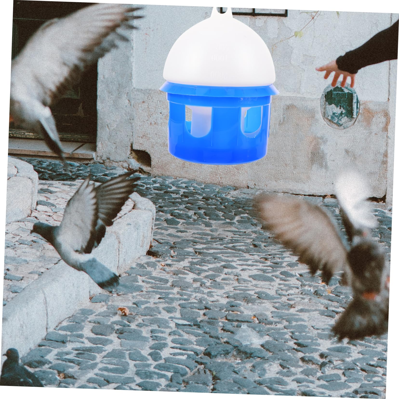 Automatische Vogeltränke für Tauben 4L aus Kunststoff Abnehmbar Robustes Design Blau für Vogelvolieren und Außenbereiche