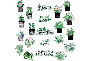 Succulent Classroom Decorations for Positive Learning Spaces