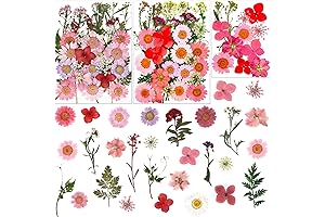 LUCISKY Dried Flower Set for Cakes