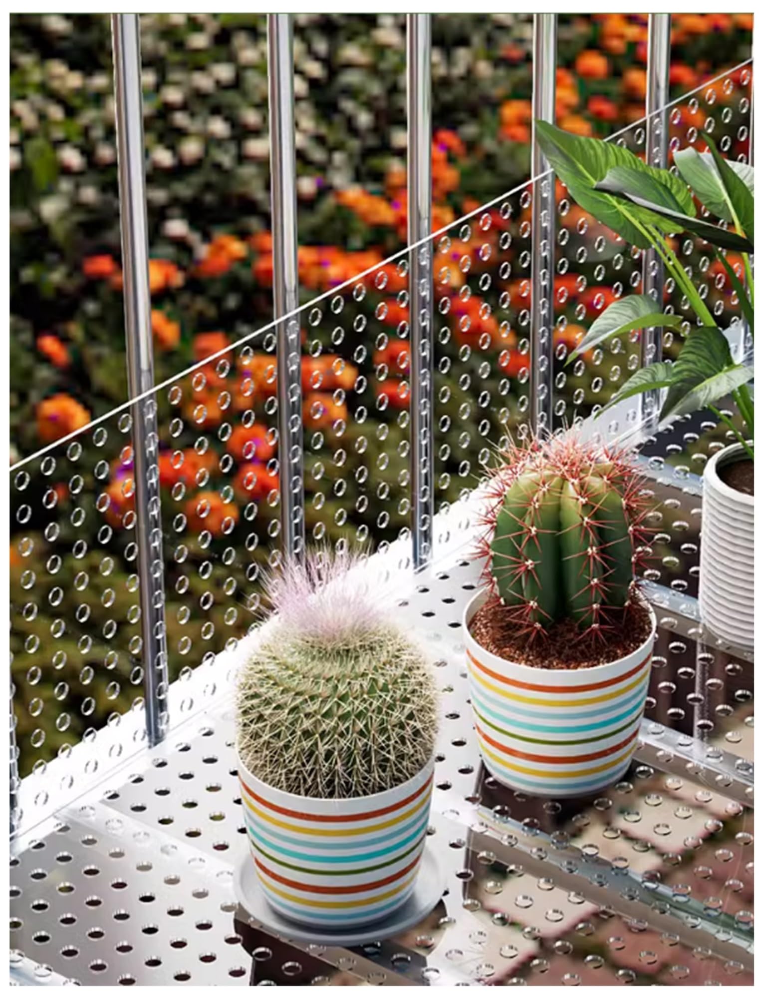 Transparente Polycarbonat-Platten mit 10 mm Löchern, dekorative, auslaufsichere Fensterpolster, idealer PC-Netzschirm für Zuhause und Außenbereich