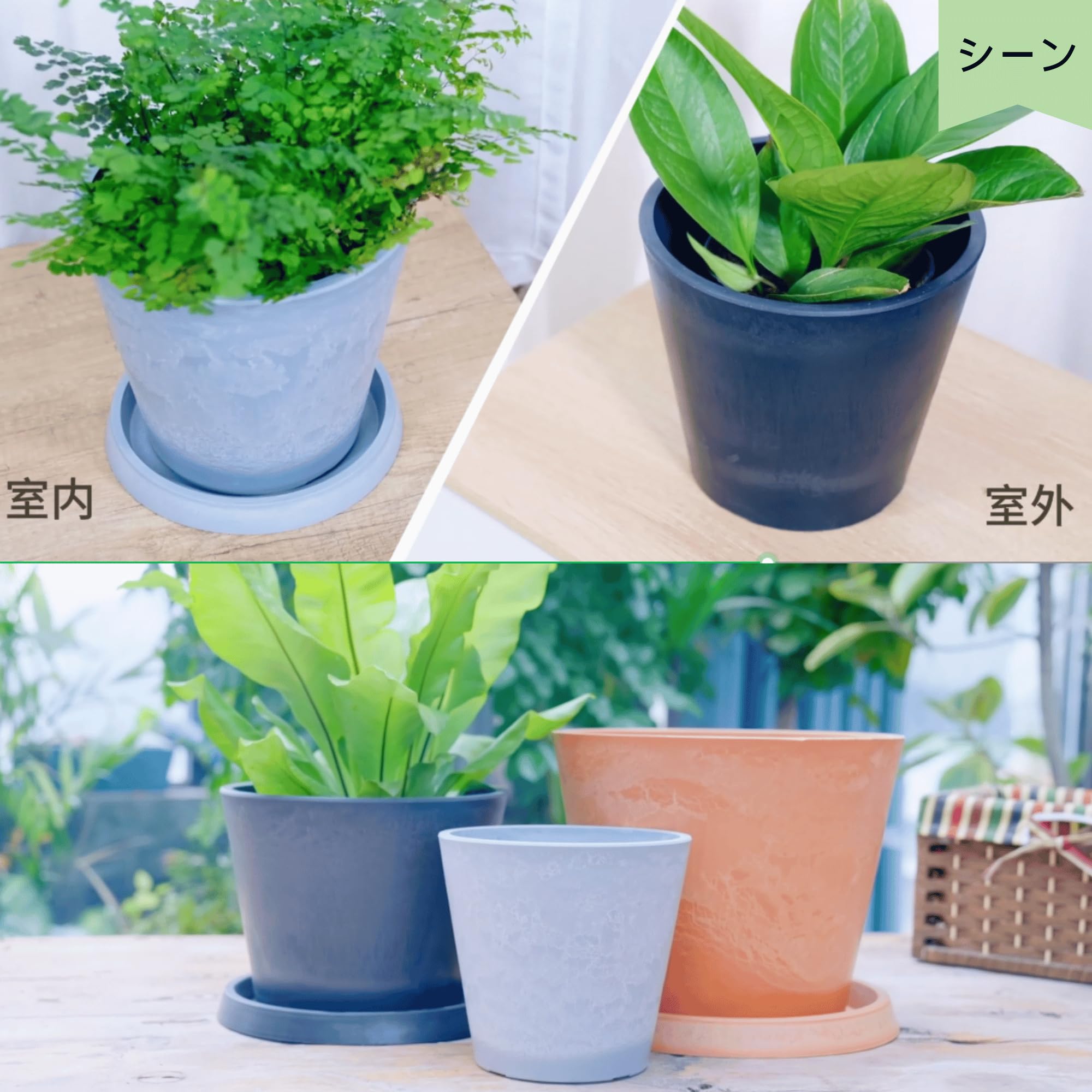 Amazon.co.jp: GreenShip 多用途 植木鉢 8号 石のような自然な色味