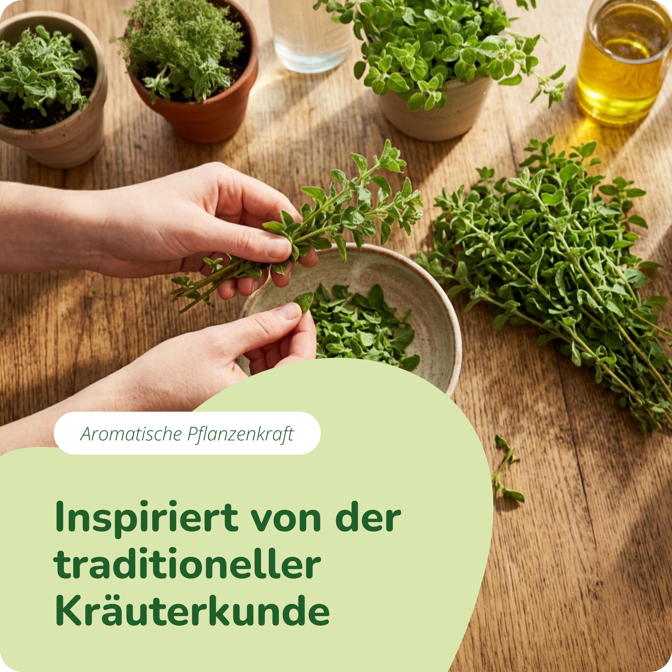Vegavero Oregano Öl Kapseln Bio 90 Stück - 129 mg Oreganoöl mit 70% Carvacrol & 2,75% Thymol - vegane Kapseln ohne Zusatzstoffe