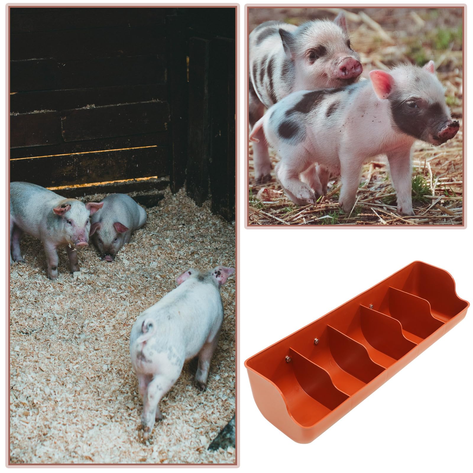 Mangiatoia per Maiali in Plastica 5 Scomparti, Resistente All’usura e Facile da Pulire, Distributore di Mangime per Suinetti per Allevamenti e Forniture Agricole