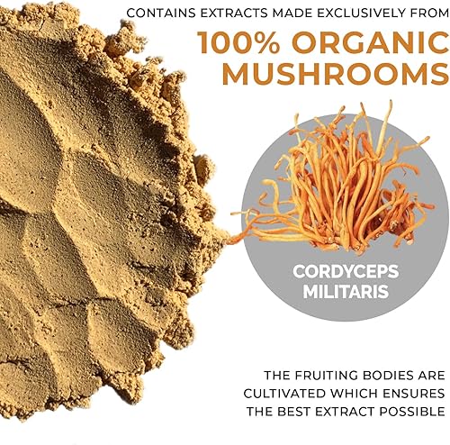 Miniatura 7 de Real Mushrooms RealBoost (60 ct), melena de león (120 quilates), Cordyceps y cola de pavo en polvo y cápsulas - Suplemento de hongos para energía,
