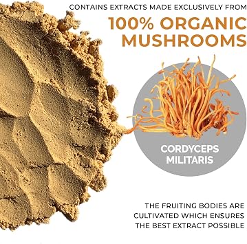 Real Mushrooms RealBoost (60ct), Lions Mane (120ct), Cordyceps & Turkey Tail Mushroom Powder & Capsules Bundle - Mushroom Supplement for Energy, Vitality, Endurance & Cognition - Vegan, Non-GMO