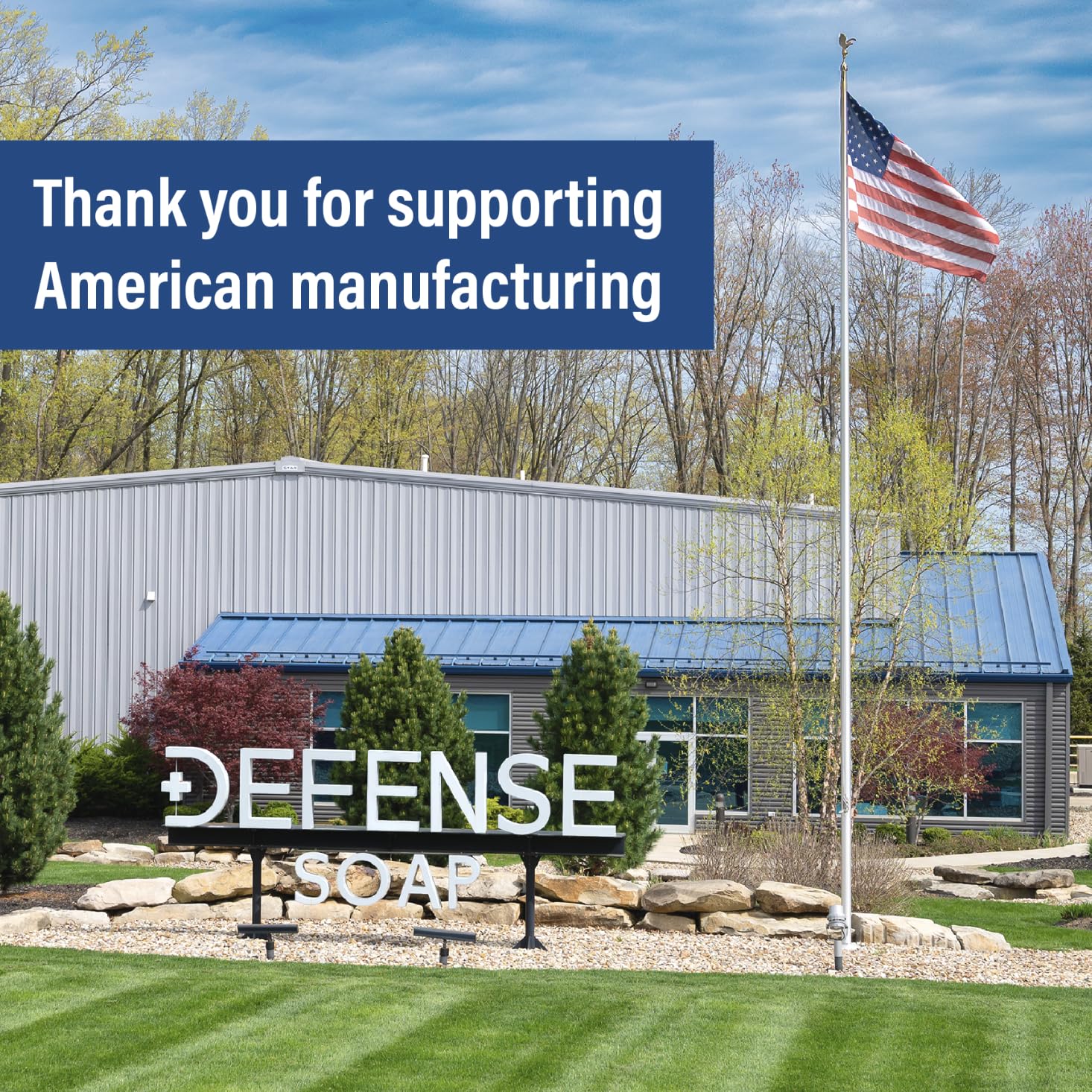 Defense Soap 12pk All Natural Peppermint Bar Soap for Men | Made by Wrestlers with Tea Tree Oil & Eucalyptus Oil to Promote Healthy Skin