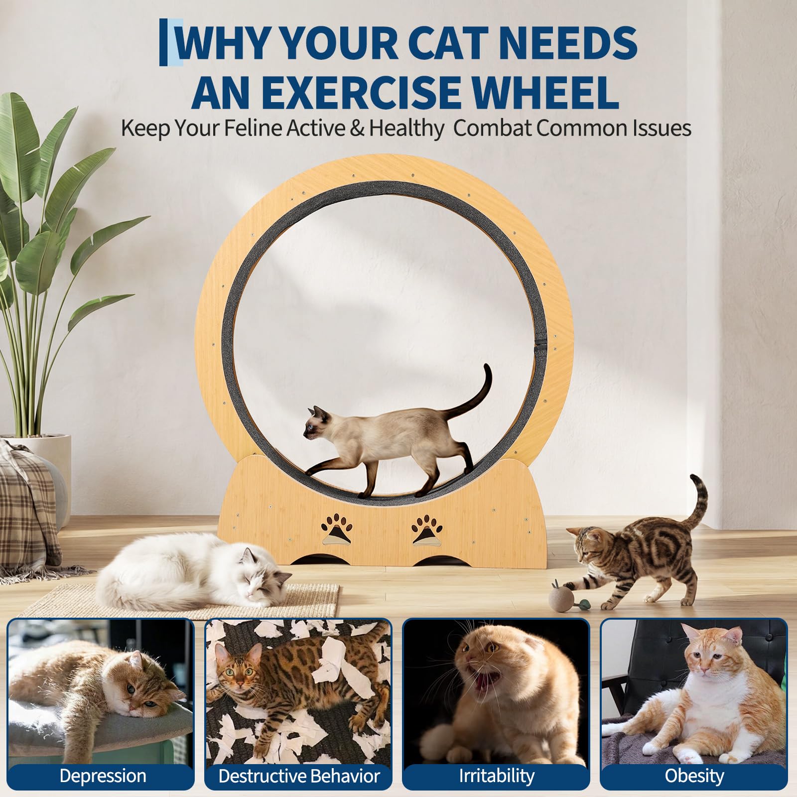 Rueda de Gato XXL de 87 cm para Mascotas y Gatos silenciosos con Suelo Antideslizante, Remolque de Juego y Cierre de Seguridad, Estable para Gatos Activos y Razas de Pelo Largo