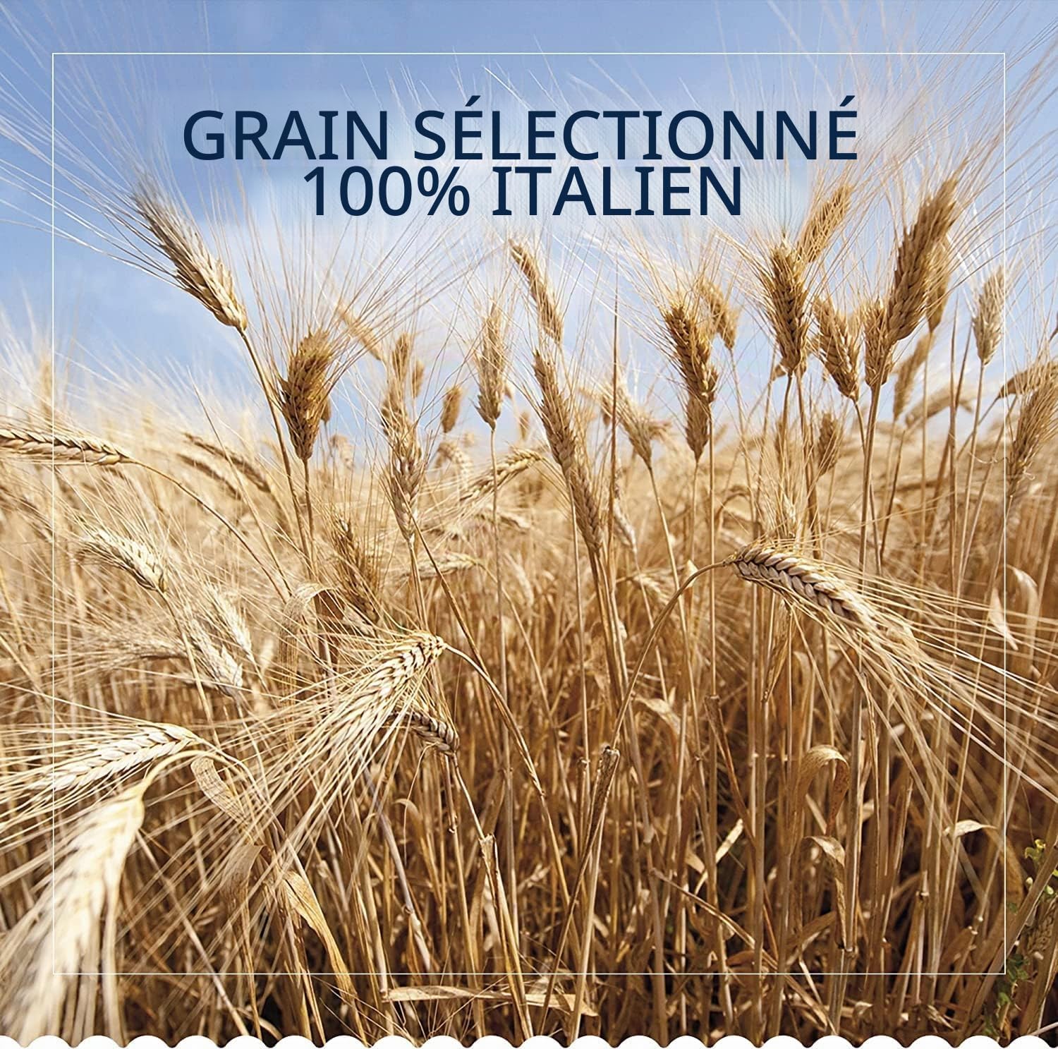 Italian Gourmet Pâtes Barilla Integrale Assortiment 14 x 500 g (7 kg), Pâtes Complètes Italiennes, Formats Variés (Penne, Fusilli, Farfalle, etc.), Source de Fibres + Italian Gourmet Polpa
