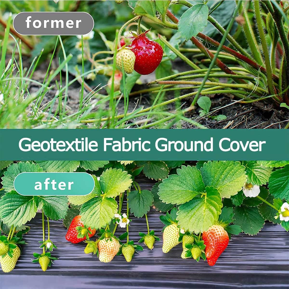 Geotextil Resistente,Malla Geotextil Permeable al Agua,Malla geotextil, protección contra Las Malas Hierbas Resistente,para Jardín o Huerto (Size : 1.2x152m)