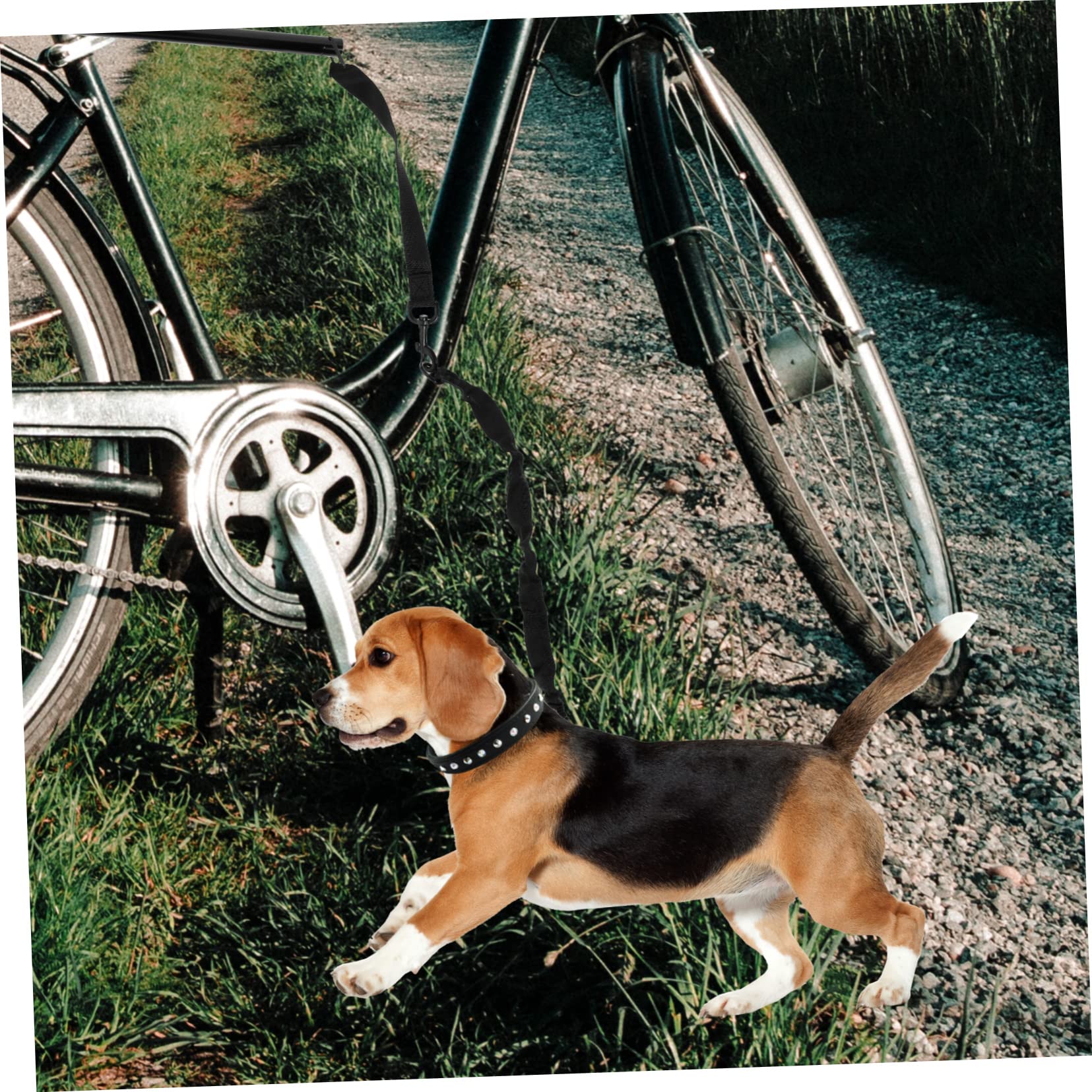 Garneck Guinzaglio Per Cani in Corda Guinzaglio Da Traino Per Animali Domestici Corda Da Trazione Portatile Per Cuccioli e Bici