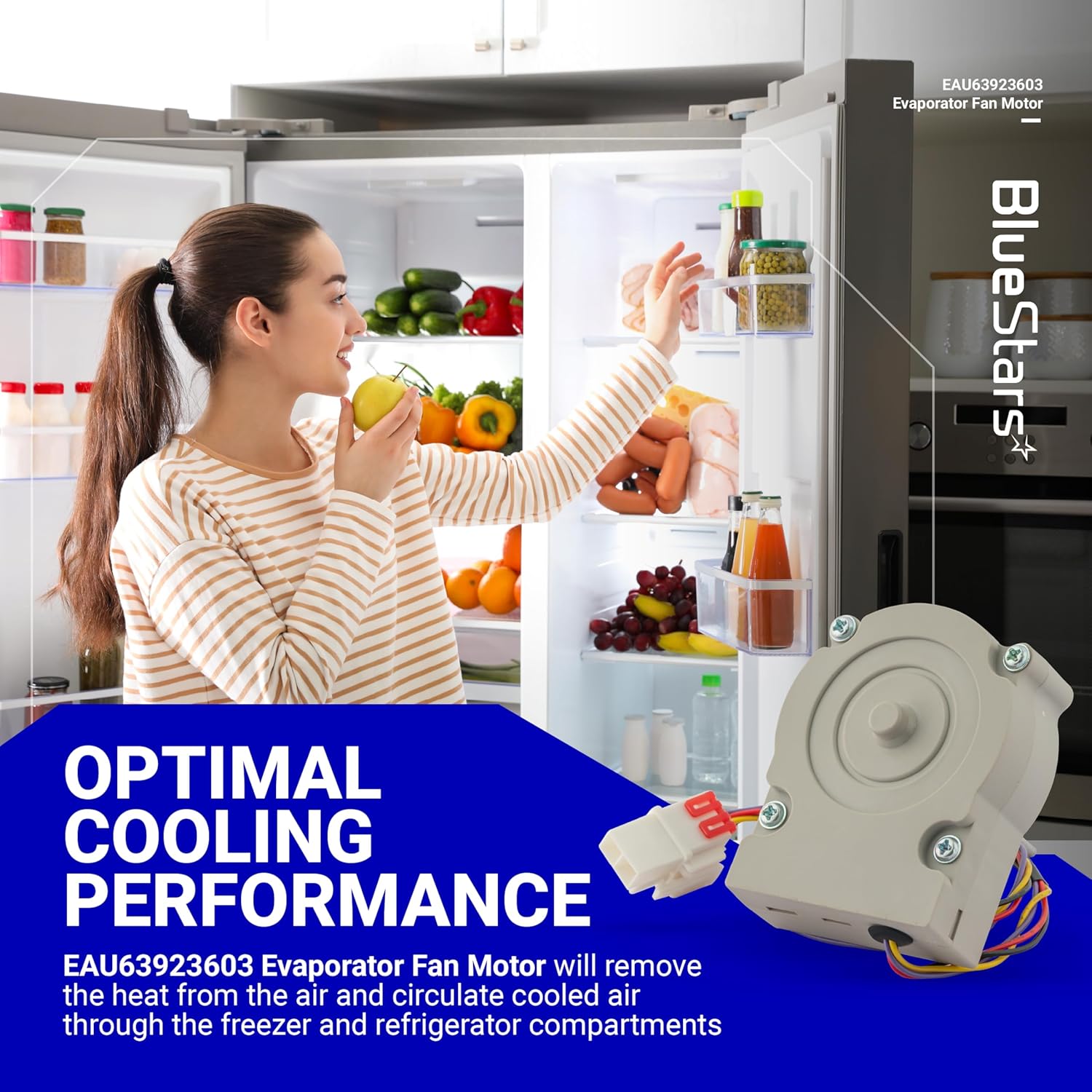 BlueStars EAU63923603 Refrigerator Evaporator Fan Motor Assembly - Compatible with LG and Kenmore Refrigerators DC 12.0V / 1.0 A - Replaces EAU65058305, AP6317197, PS12383671, EAP12383671, PD00045140