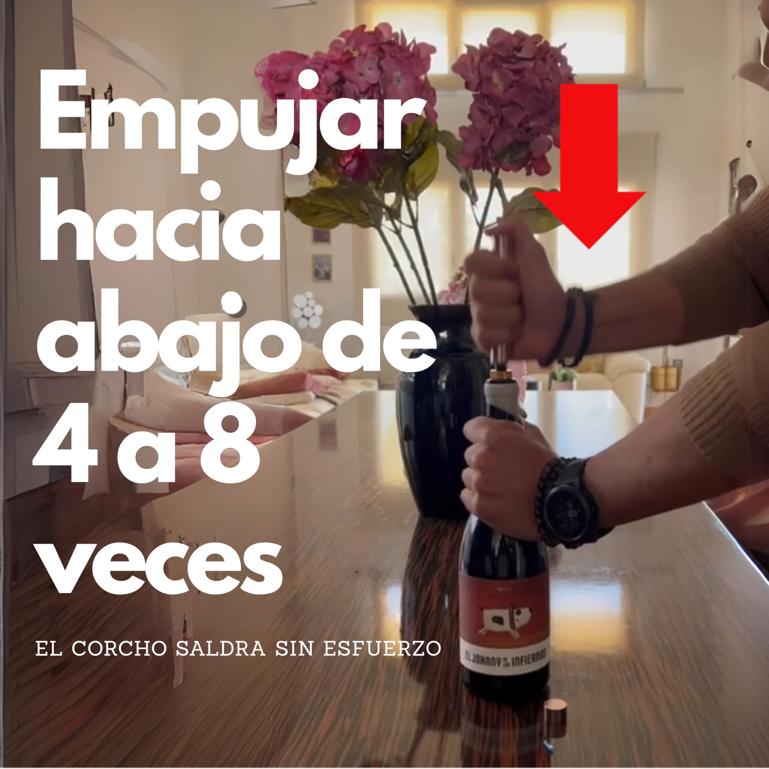 Sacacorchos Aire Presión Profesional Acero Inoxidable Abrebotellas Premium Regalo Hombre Original Accesorio Vino Tinto Fácil Uso Sin Esfuerzo Elegante Abridor Botellas Regalo compañeros trabajo