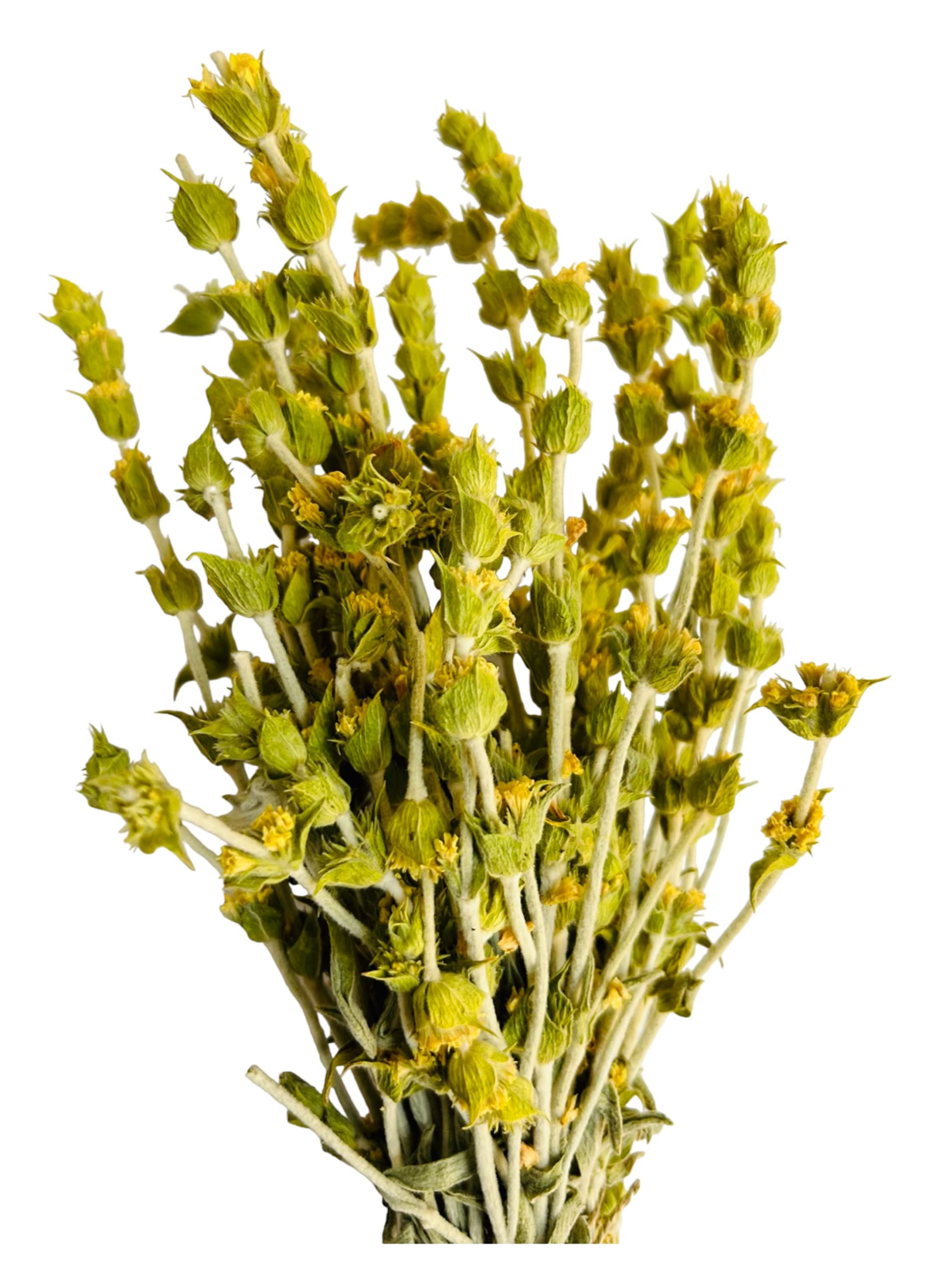 Prémium Té De Montaña Griego Manojo Entero 220g - 1.95Kg Sideritis Scardica (1950 gramos)