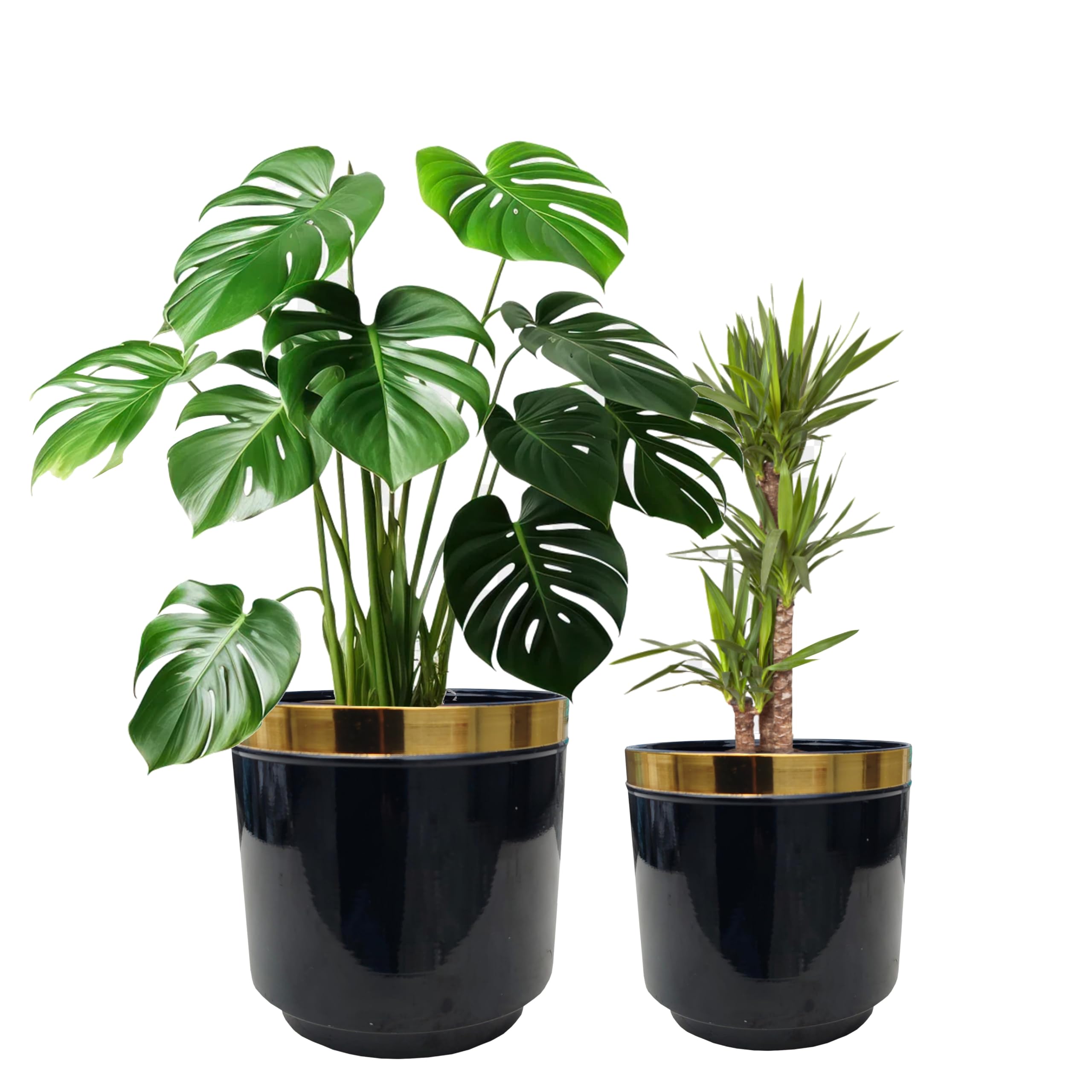 LAQA Planter Pots Iron Made for Indoor Plant Use Black Gold Set of 2 Pieces (B0DH3BZ55K) Amazon Price History, Amazon Price Tracker