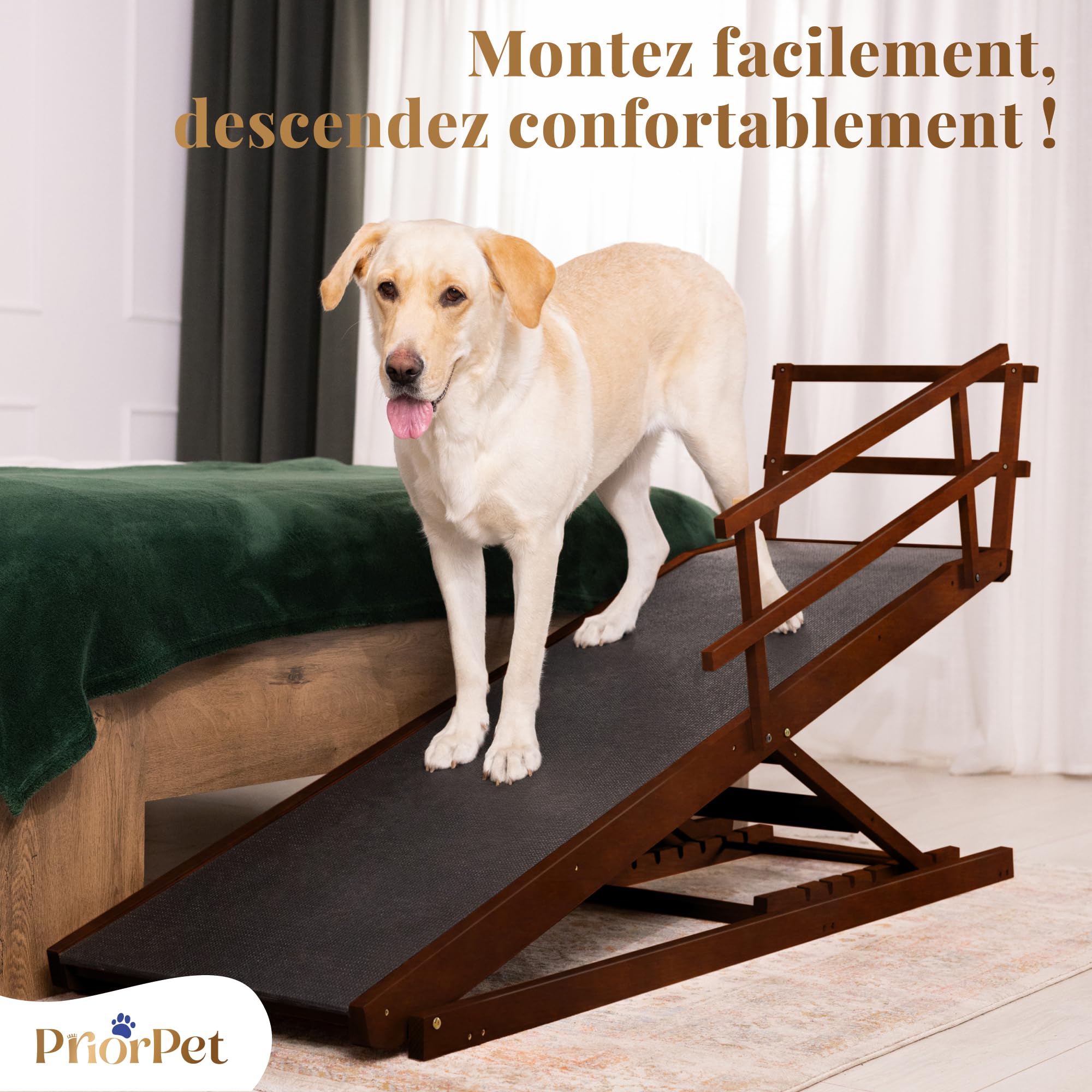 Rampe pour Chien Grande Taille pour Lit avec Barrières de Sécurité – pour Lit Haut jusqu'à 94,5 cm – Capacité jusqu'à 90 kg – Rampe de lit pour Chien Pliable, Antidérapante – Bois de Bouleau – Noix