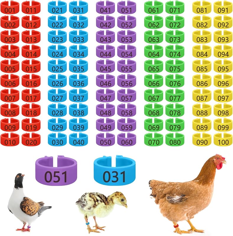 100 Pack 16mm Plastic Chicken Leg Identification Bands