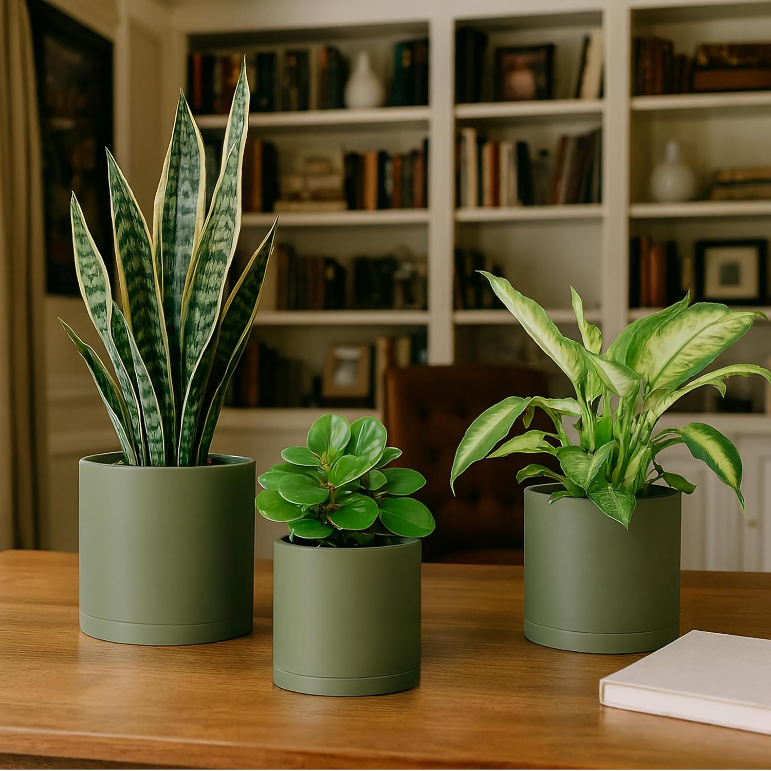 D'vine Dev 3-Pack Plastic Pots & Saucers, 6/6.5/8 in, Olive, 74-V-I-3 image 5