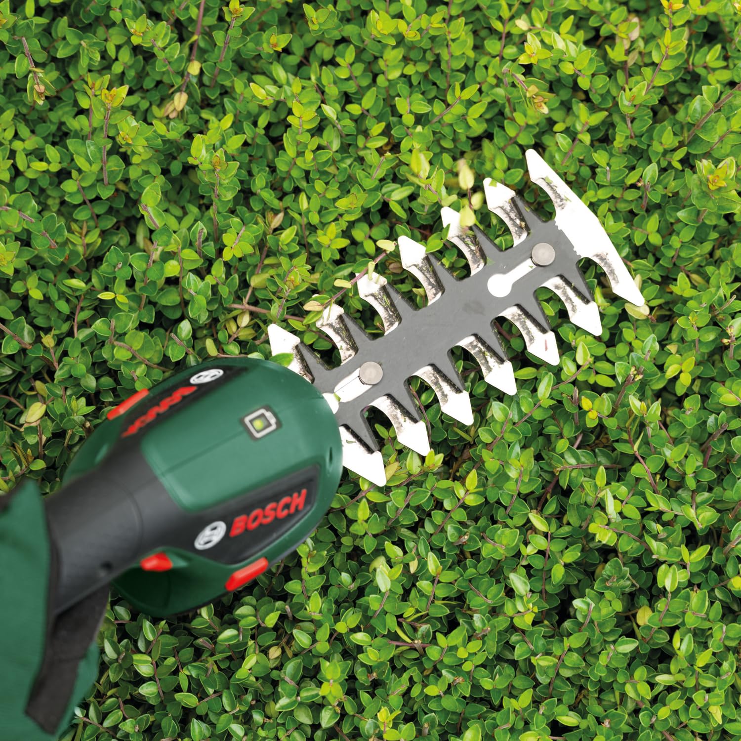 Bosch Tijera cortacésped y cortasetos a batería ISIO 4V | 2 cuchillas, batería de 4 V, sin cable ni cargador