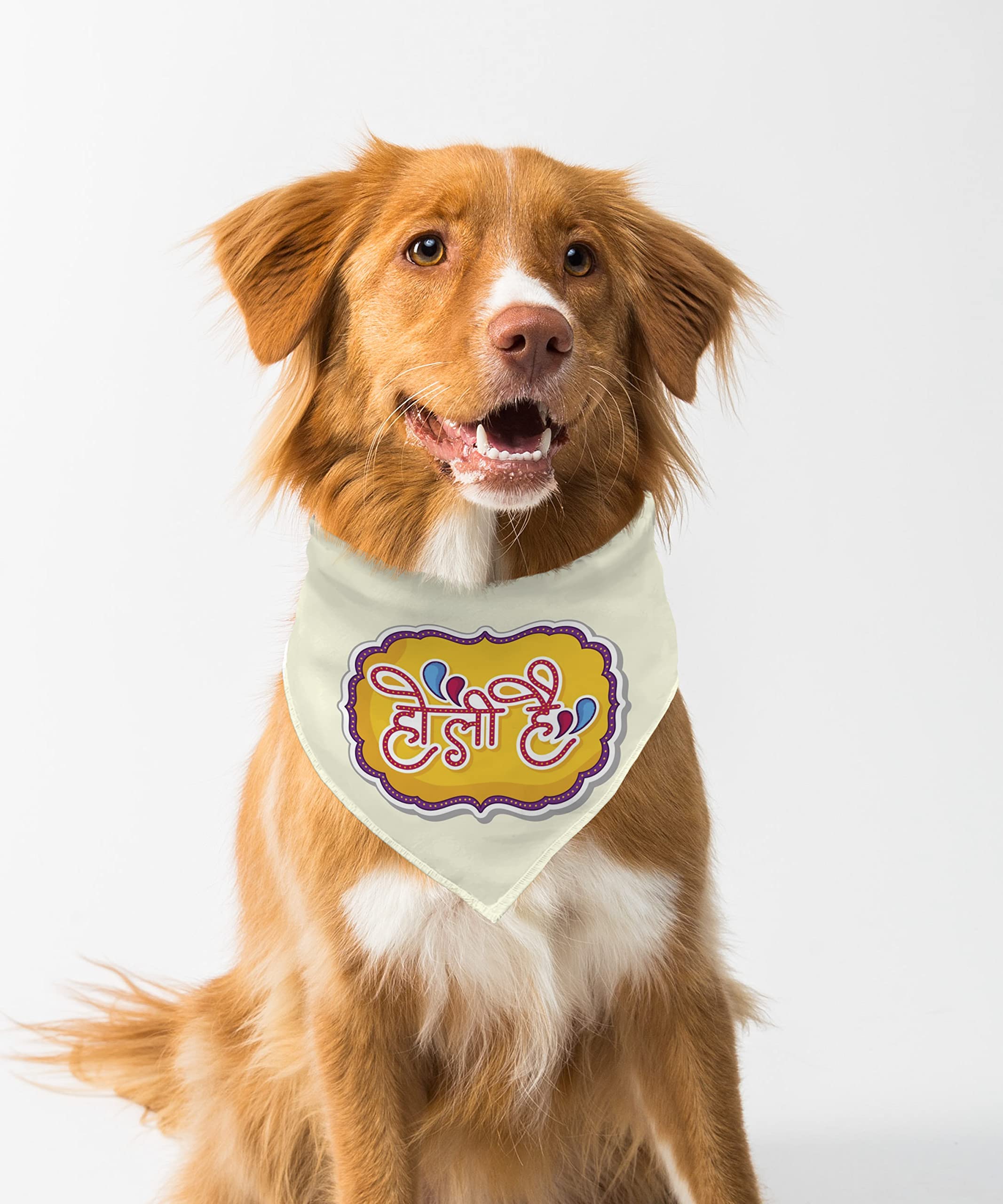 Farnup Adjustable & Comfortable Dog Bandana, Holi Hai, Graphic Printed Holi Design Bandana for Dogs | Dog Scarf, Accessory | Gifts for Dogs-S/M (B0BWWW8CX1) Amazon Price History, Amazon Price Tracker