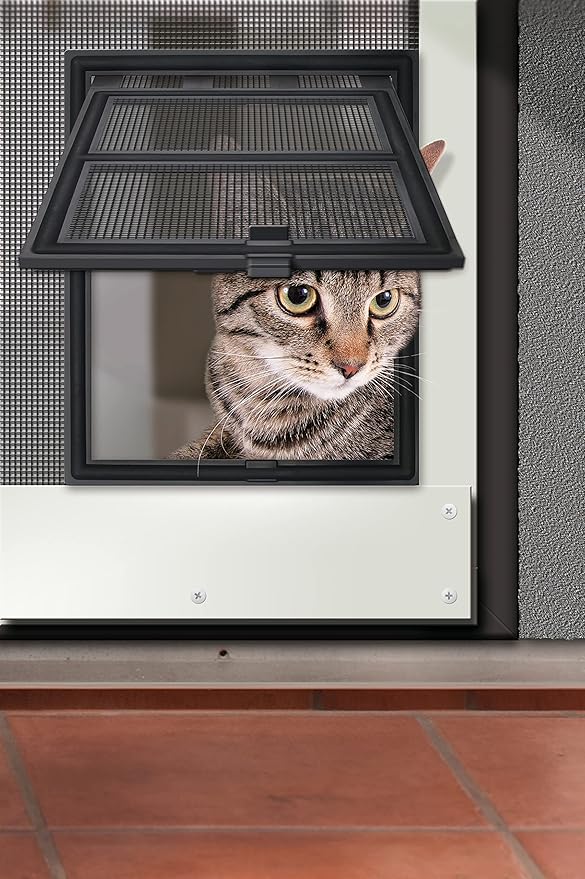 anthracite grey cat flap