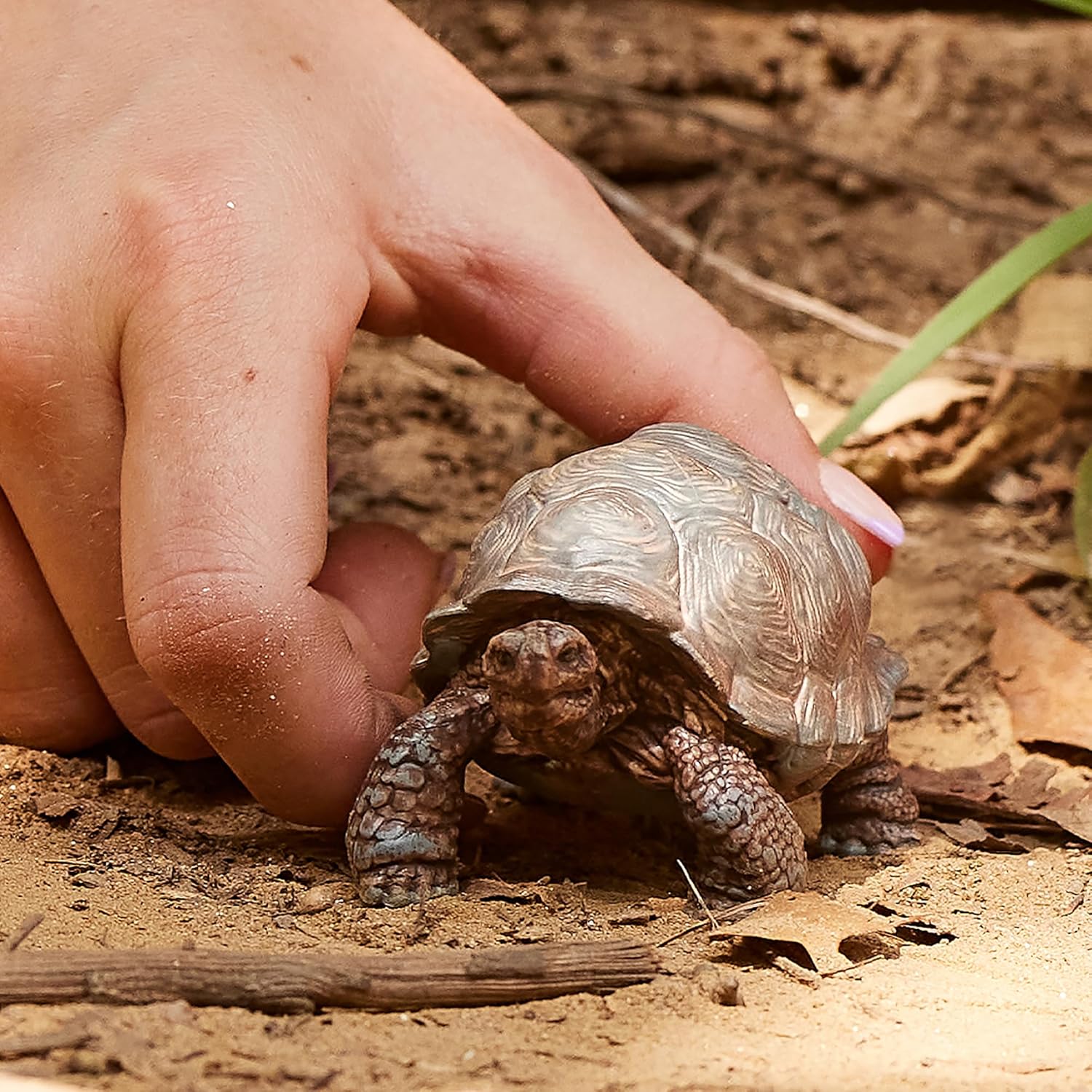 Schleich Wild Life - 3" Galapagos Giant Tortoise Figure - Realistic Turtle Toy for Boys and Girls - Wild Animal Educational Toy - Zoo Wildlife Figurine for Toddlers and Kids Ages 3+ | 13337