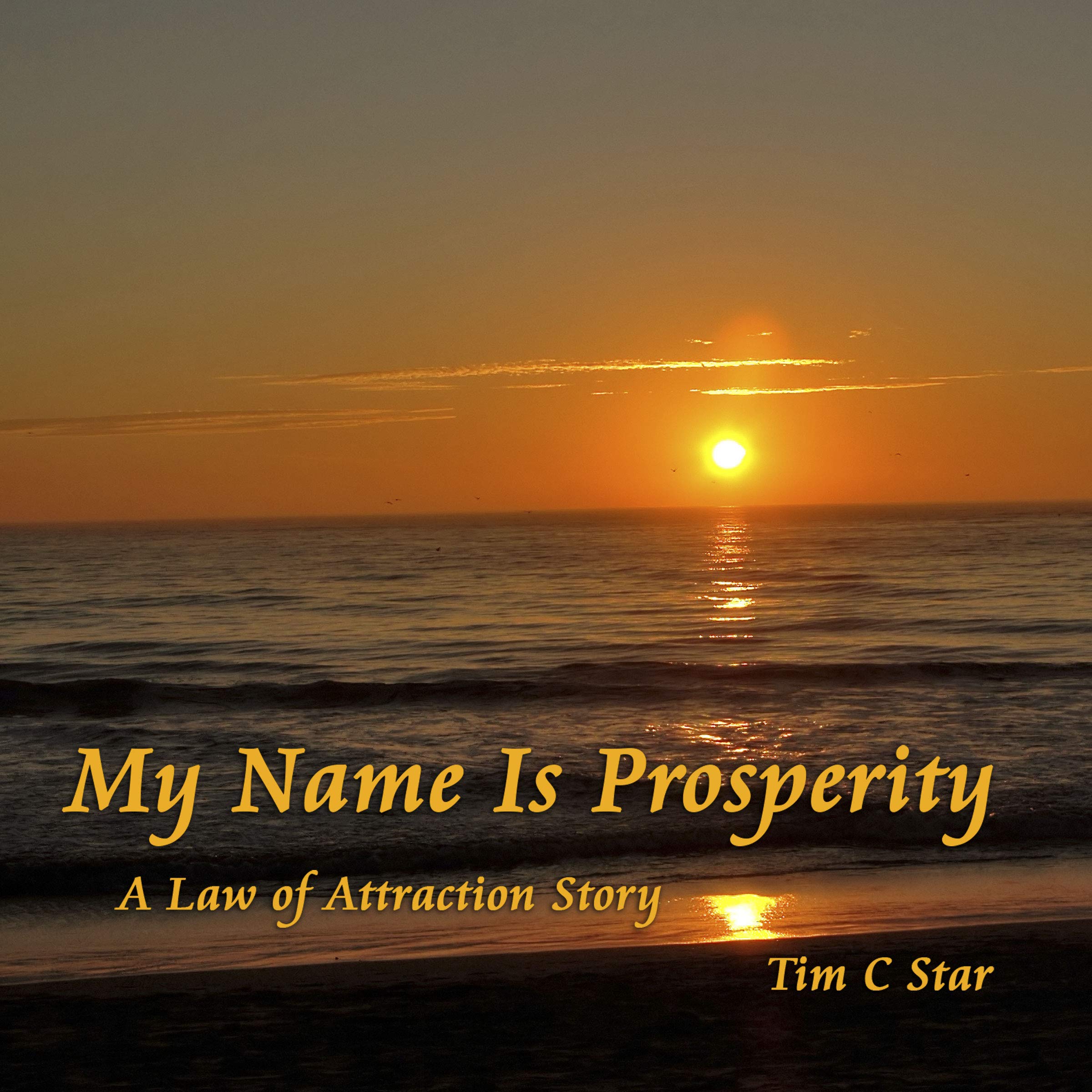 Cover art for My Name Is Prosperity