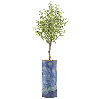 SIGNWIN Olive Tree with Illustrated Vincent Van Gogh...